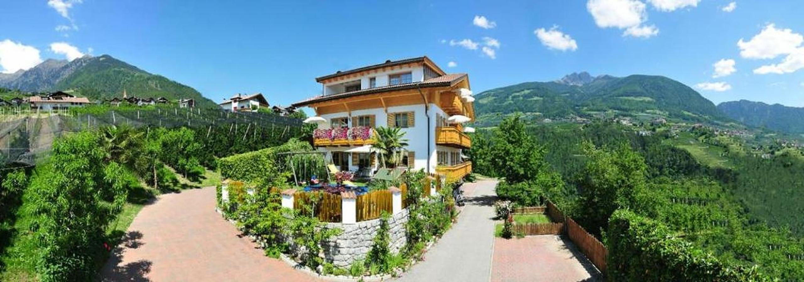 Photo 6