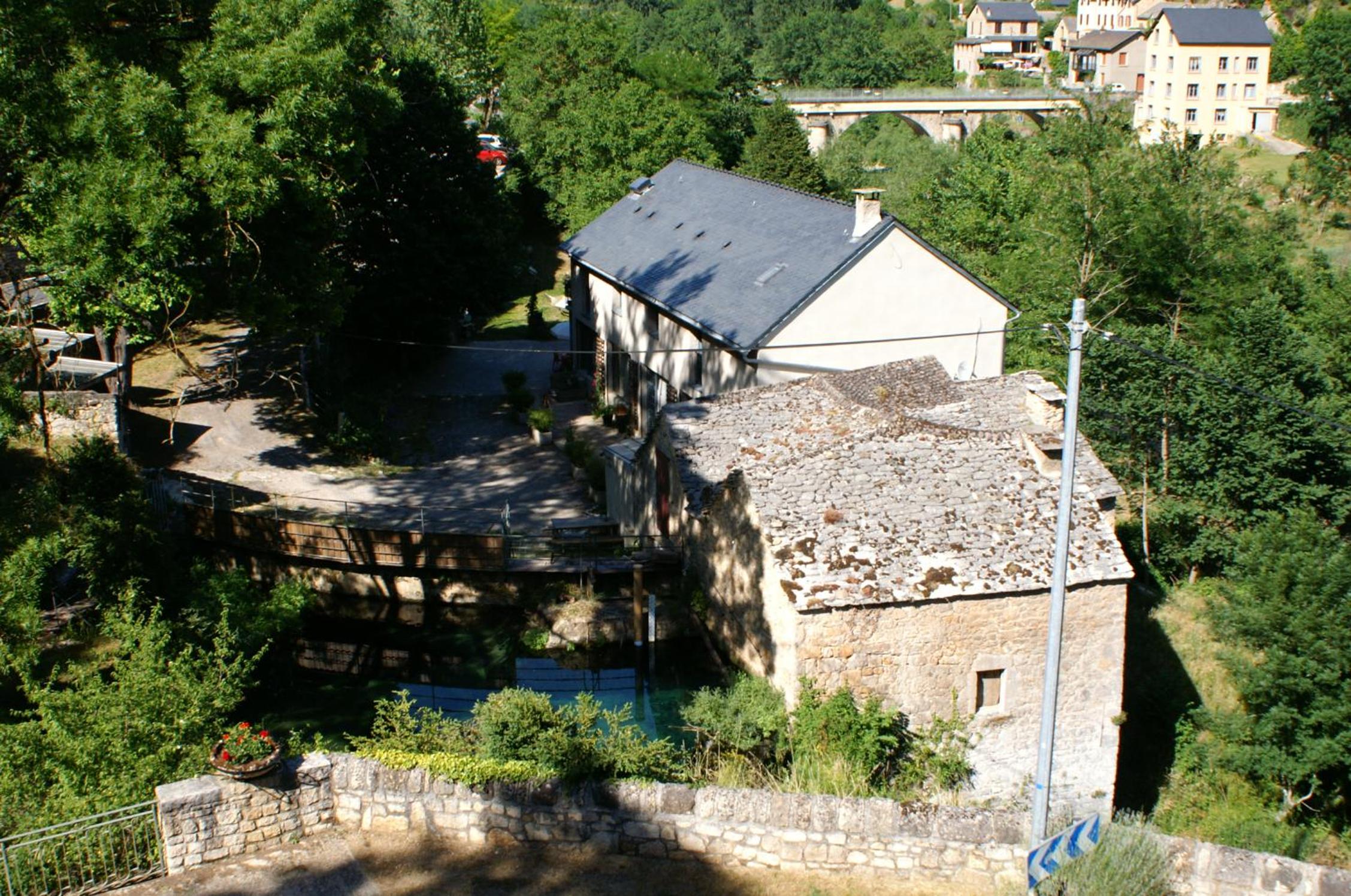Photo 7