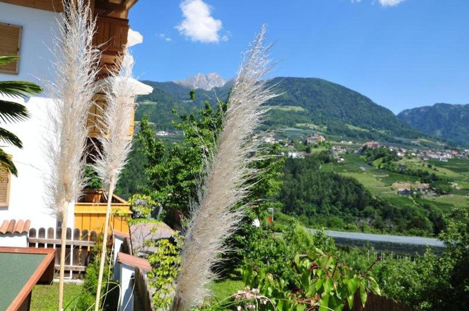 Feldhof Apartment Golden Delicious view 2