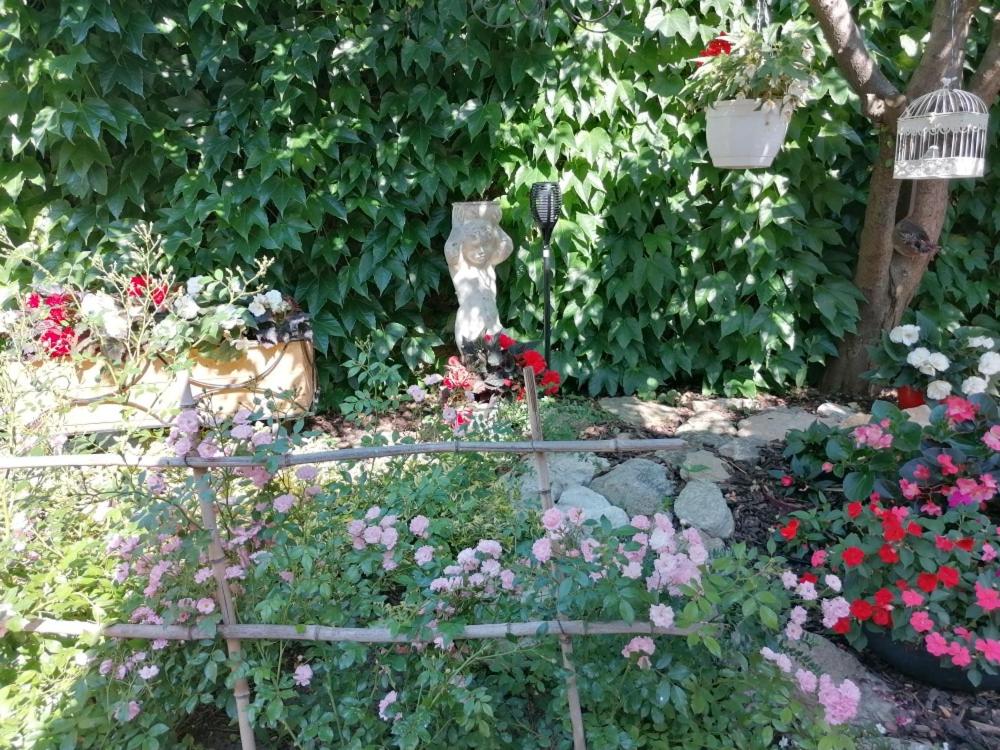 Pension Amelie