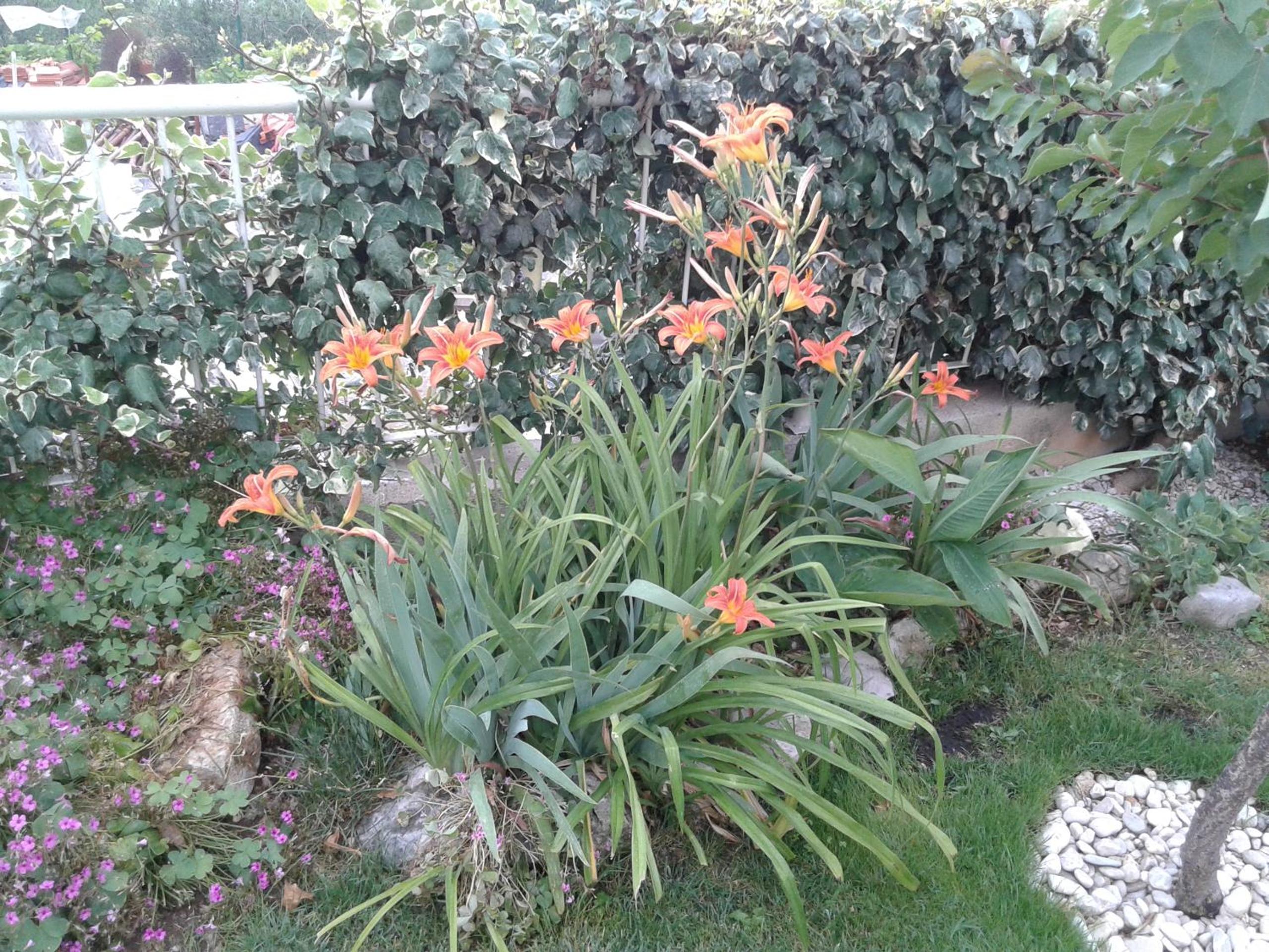 Photo 24