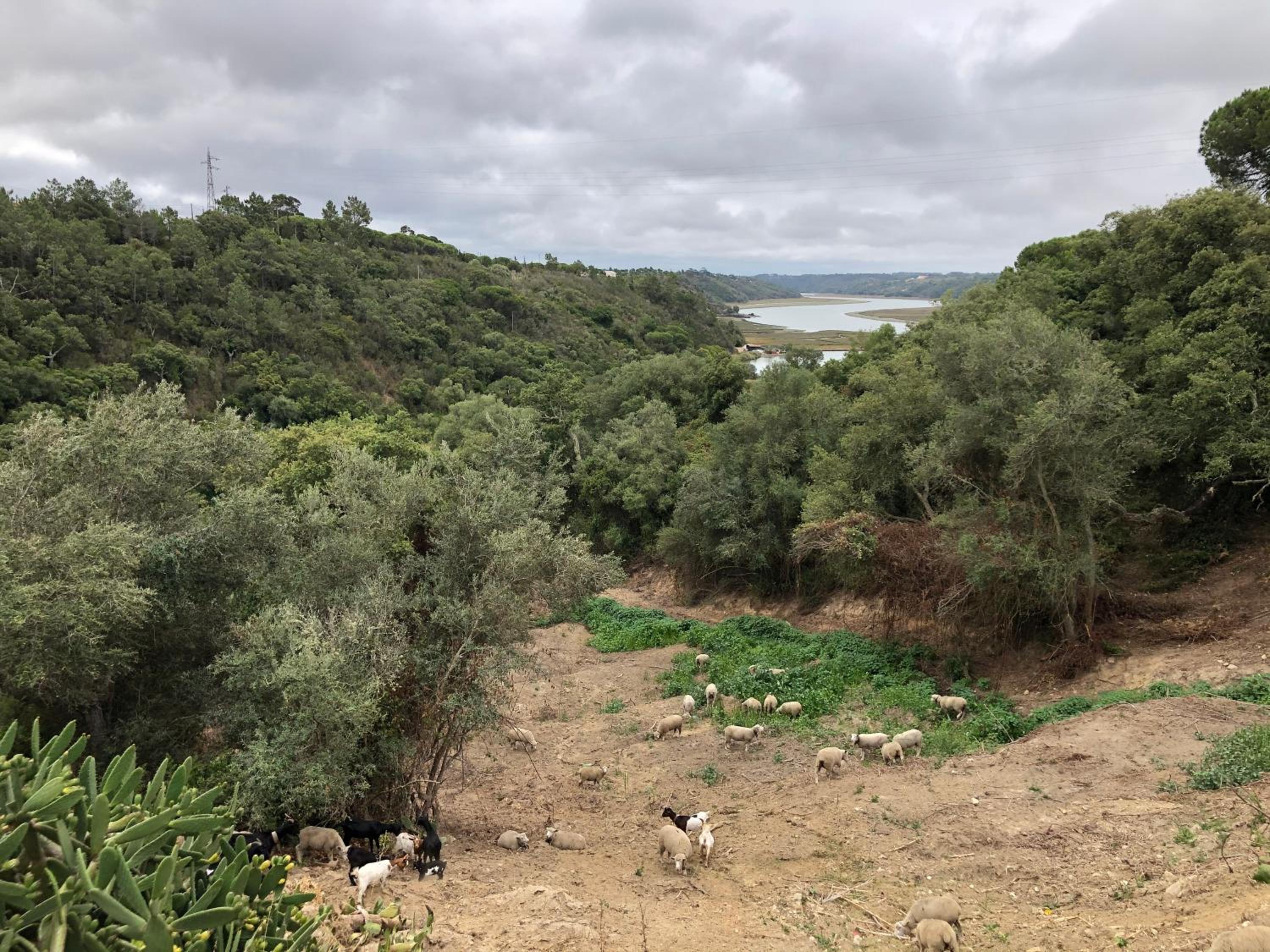 Herdade Do Freixial - Turismo Rural