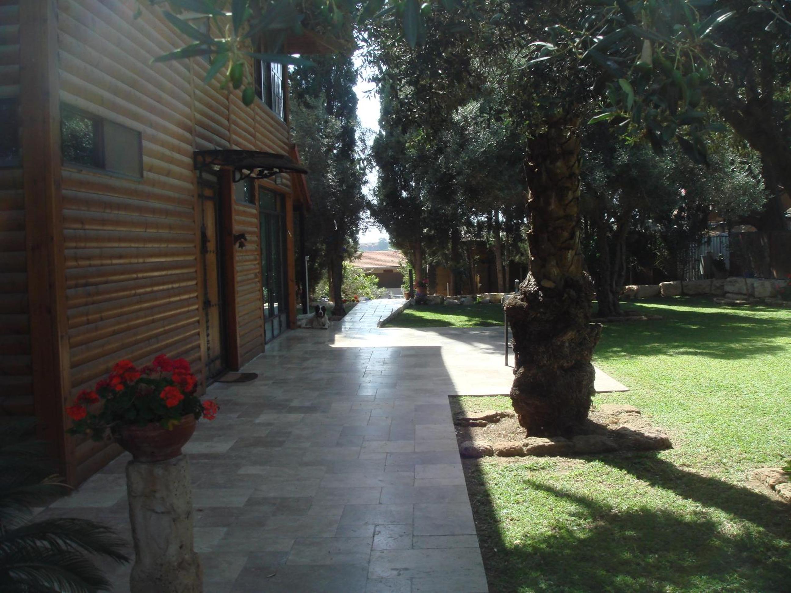 Photo 9
