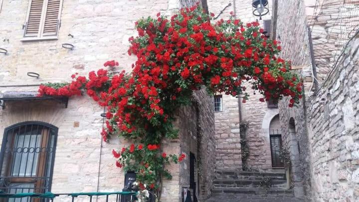 CASETTA delle ROSE view 2