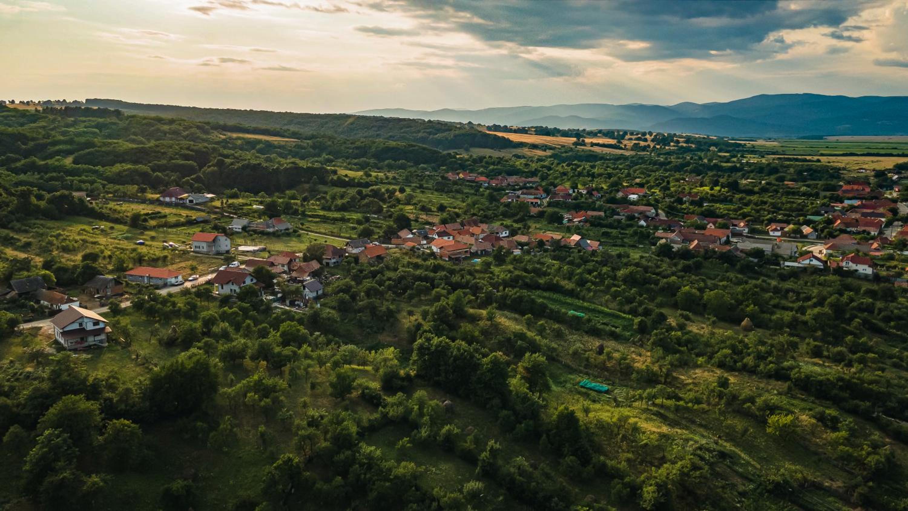 Casa Dives - Varianta Boierească