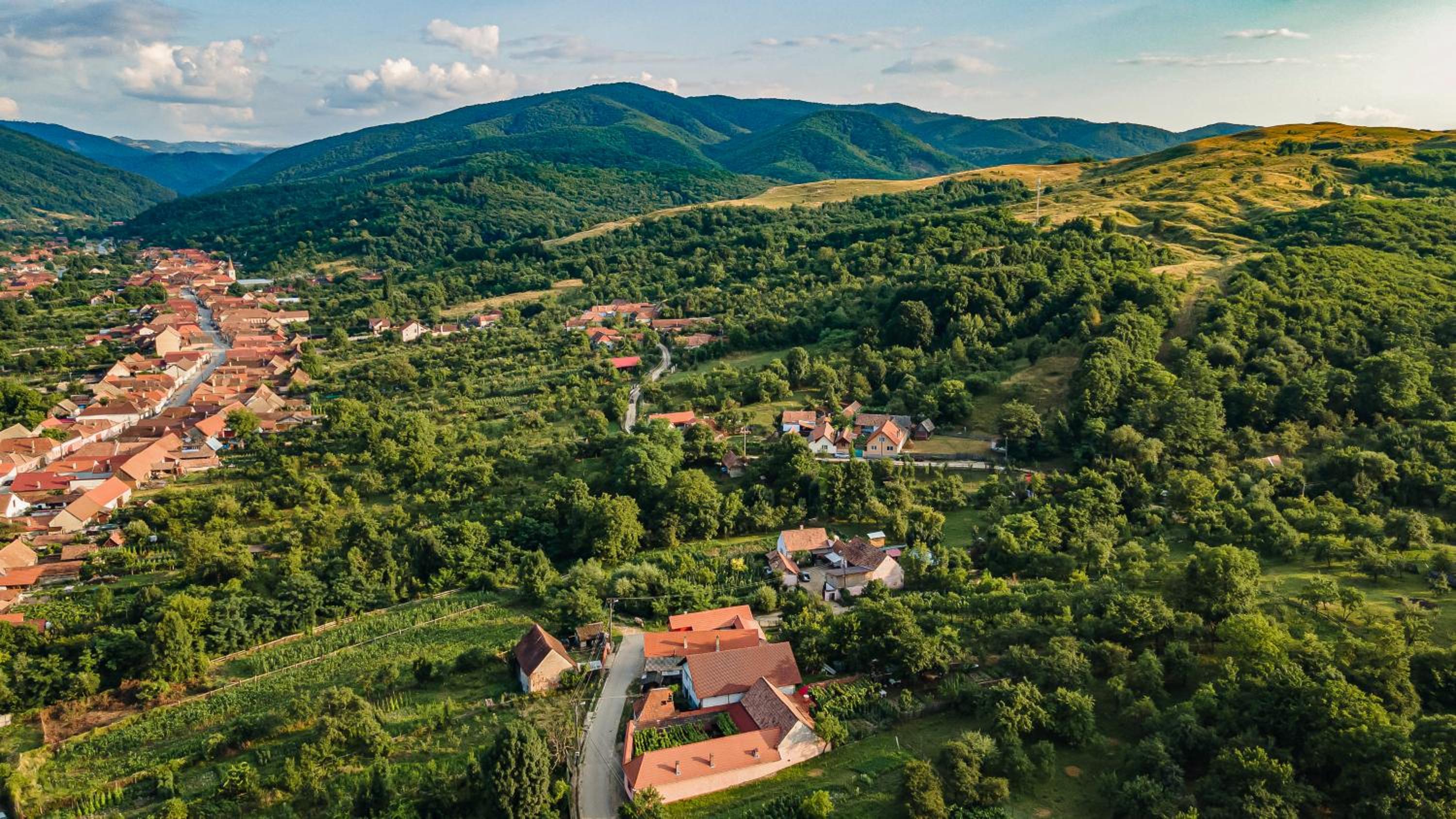 Casa Dives - Varianta Boierească