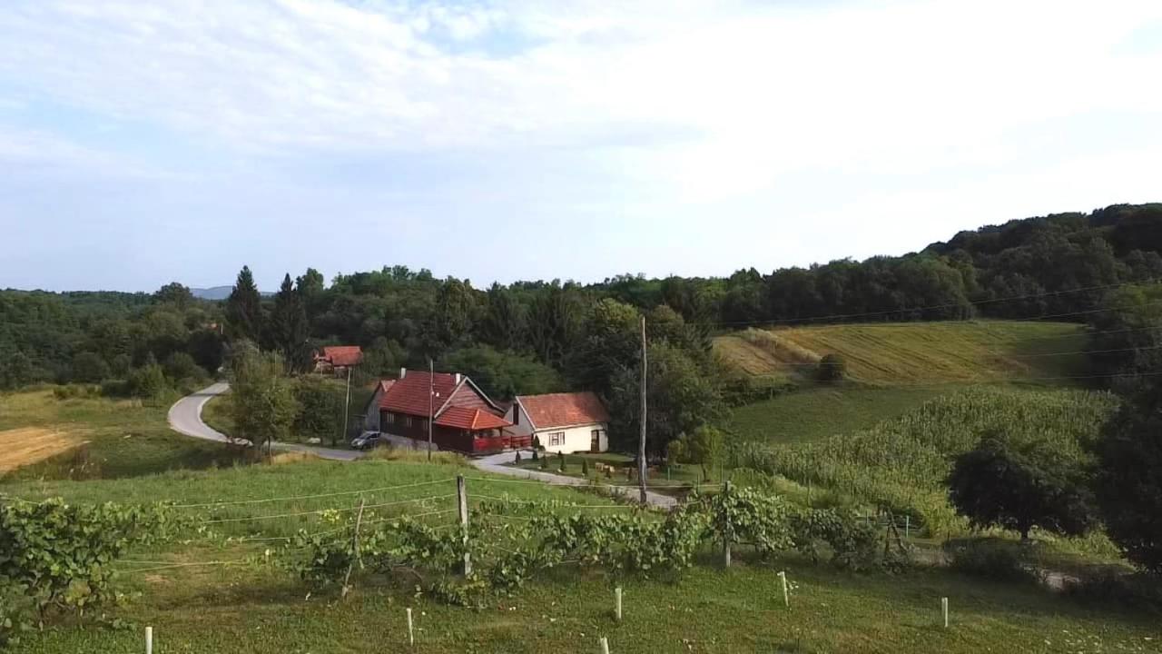 Photo 25