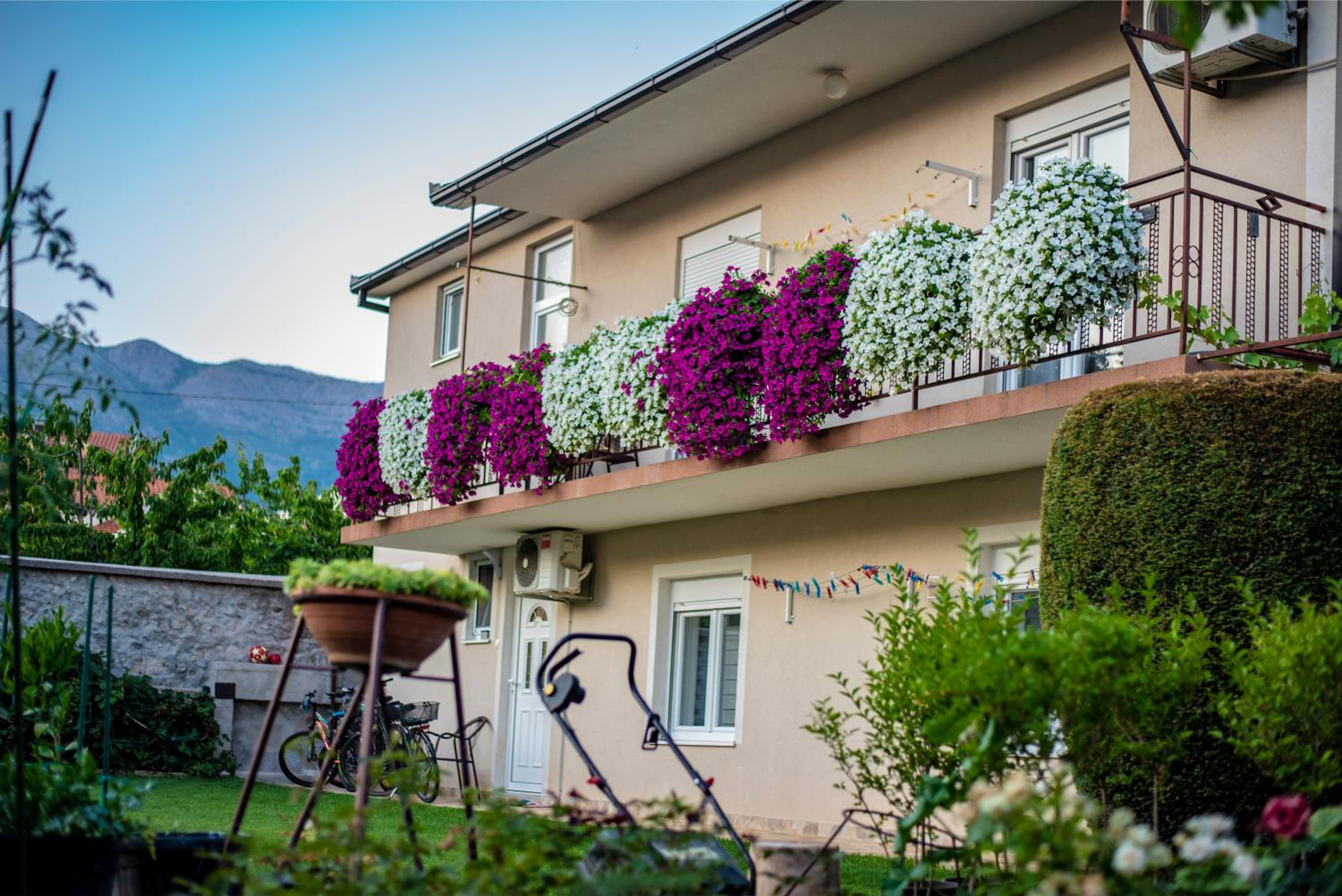 Apartman Nikola