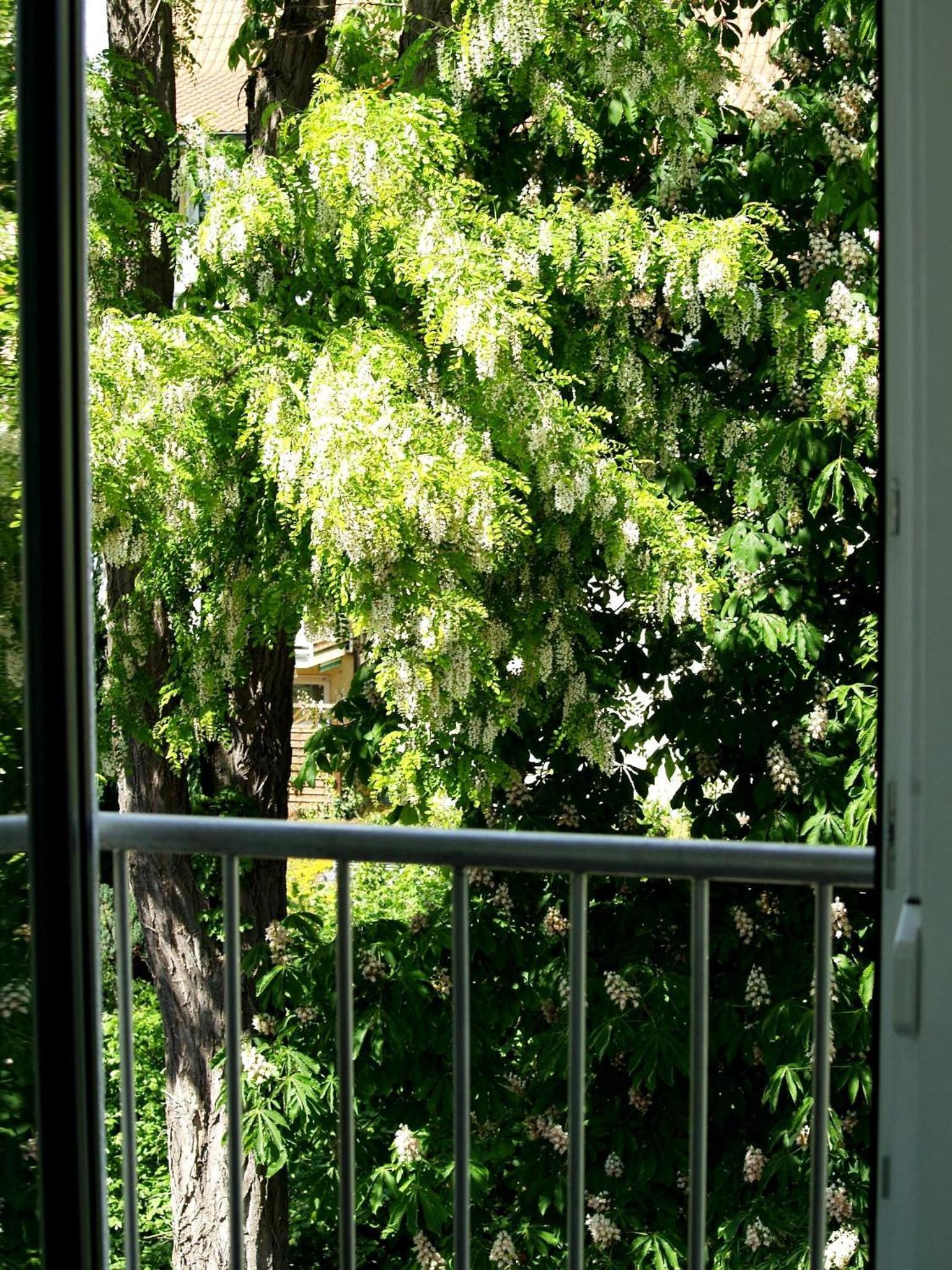 Alte Stadtmauer - Apartment