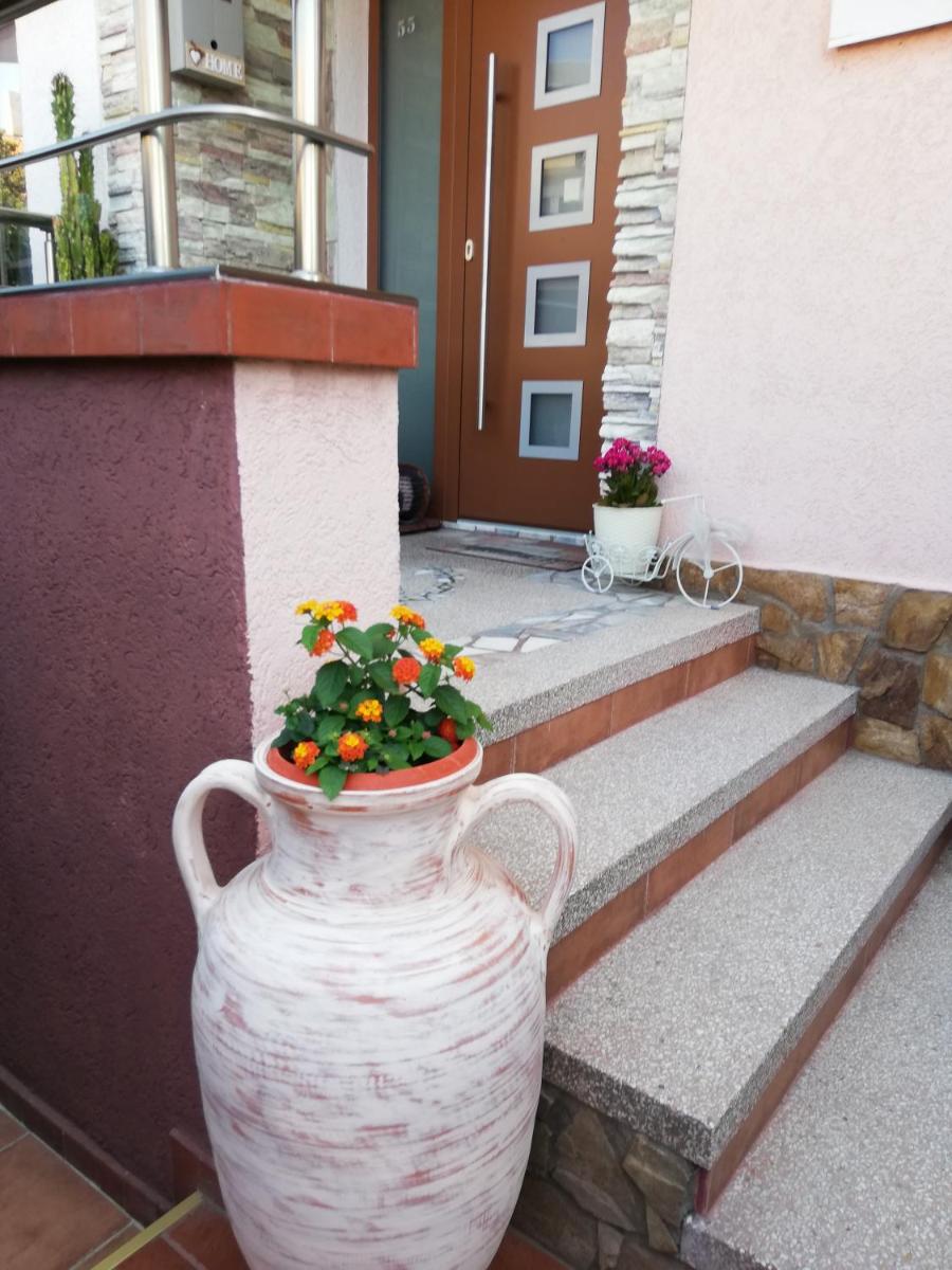 Guest House Plavas