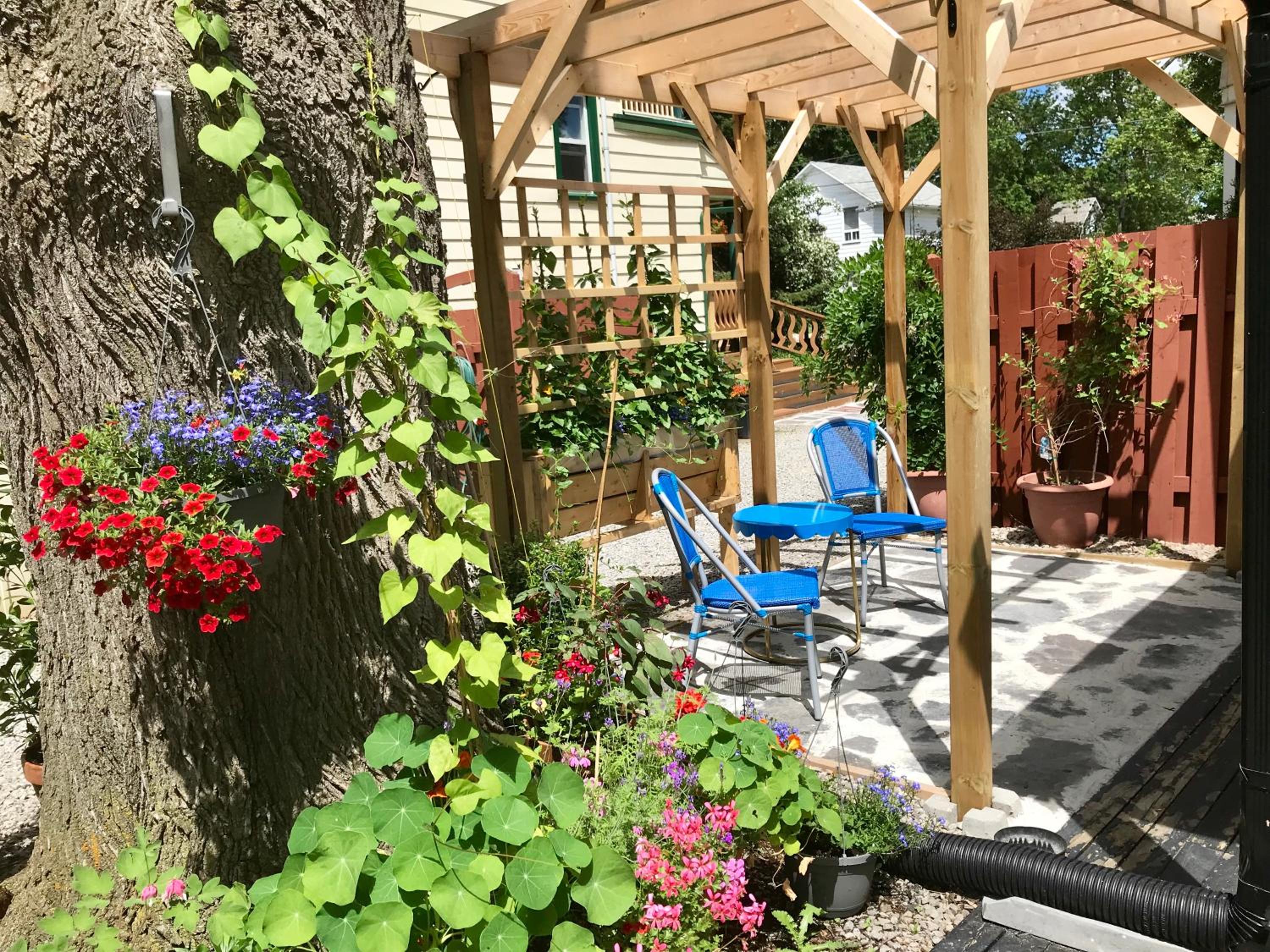 Ellis House Bed & Breakfast