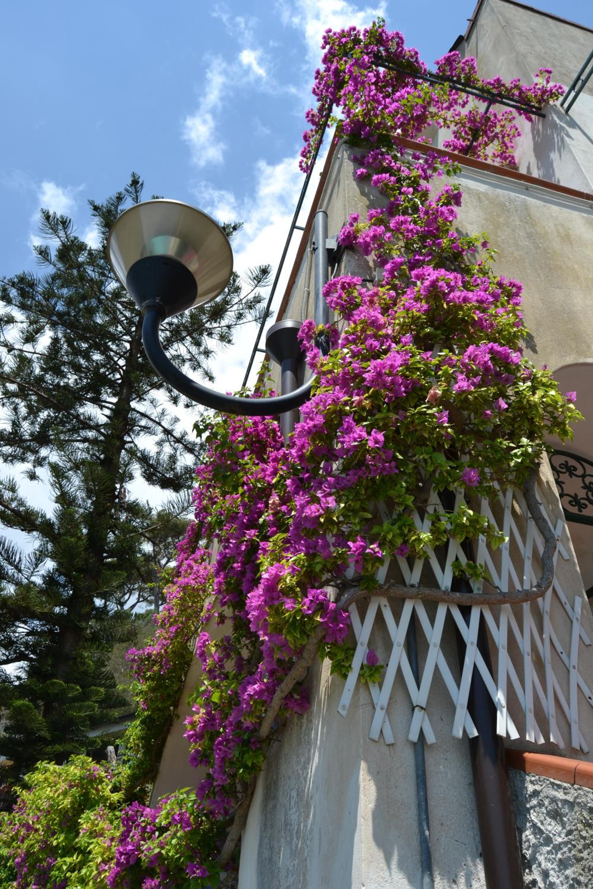 Casa Vacanze Bouganvillea