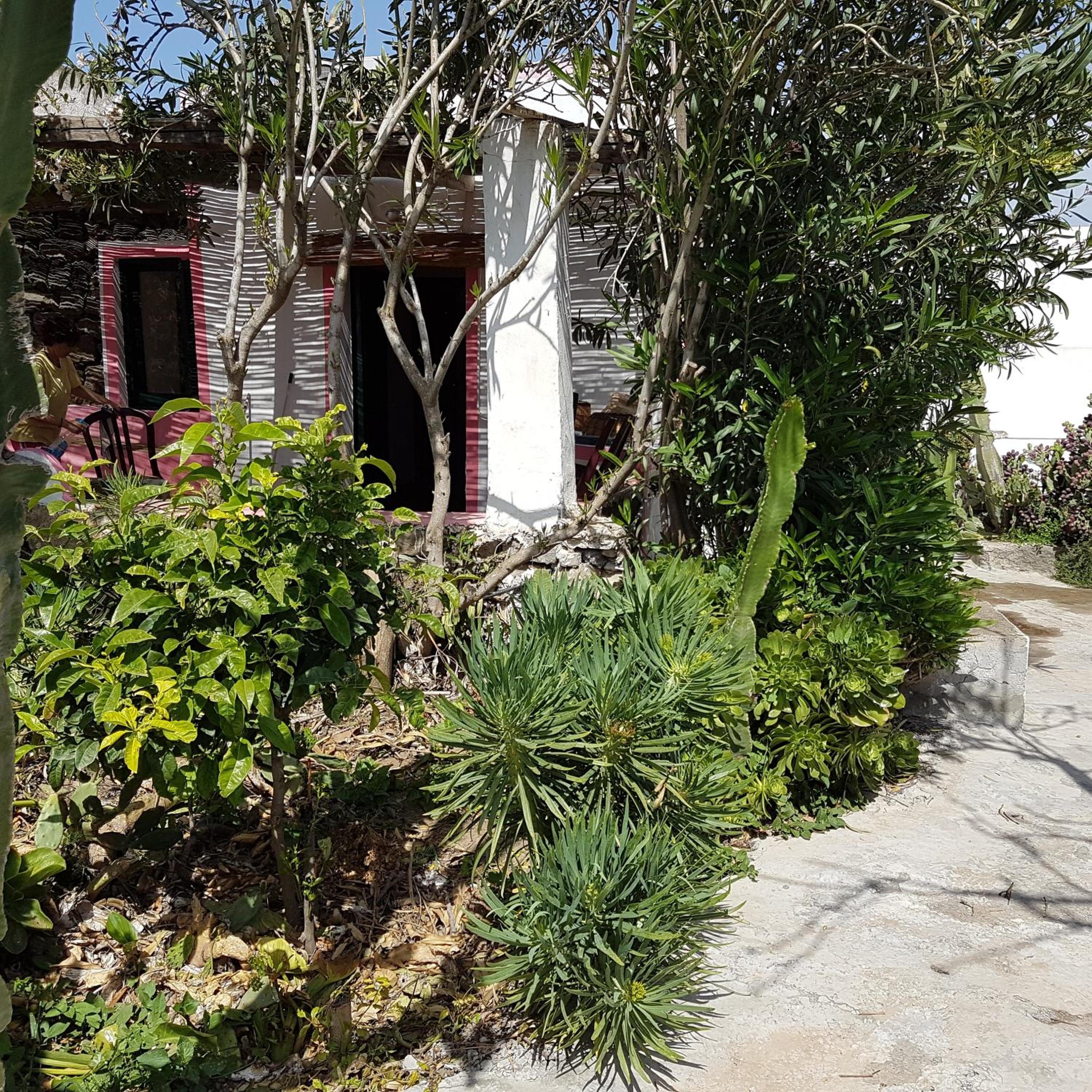 Photo 18