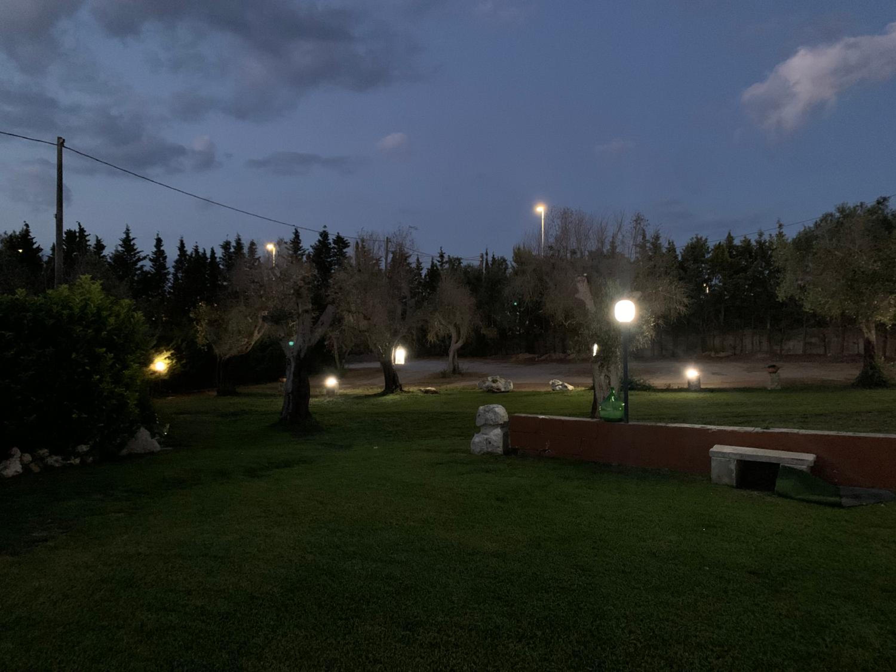 Photo 43