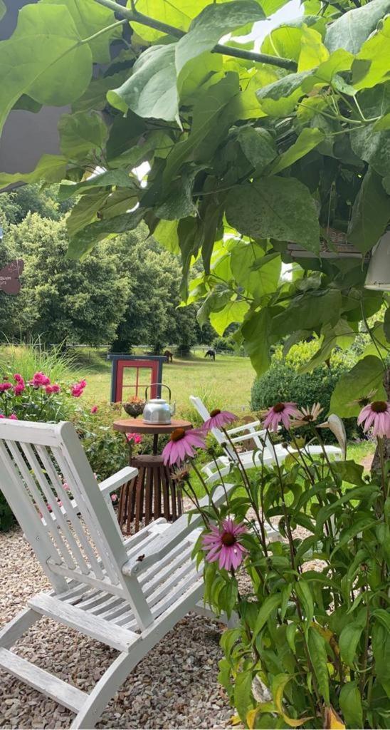 Ferienwohnungen Traumblick im Nahetal