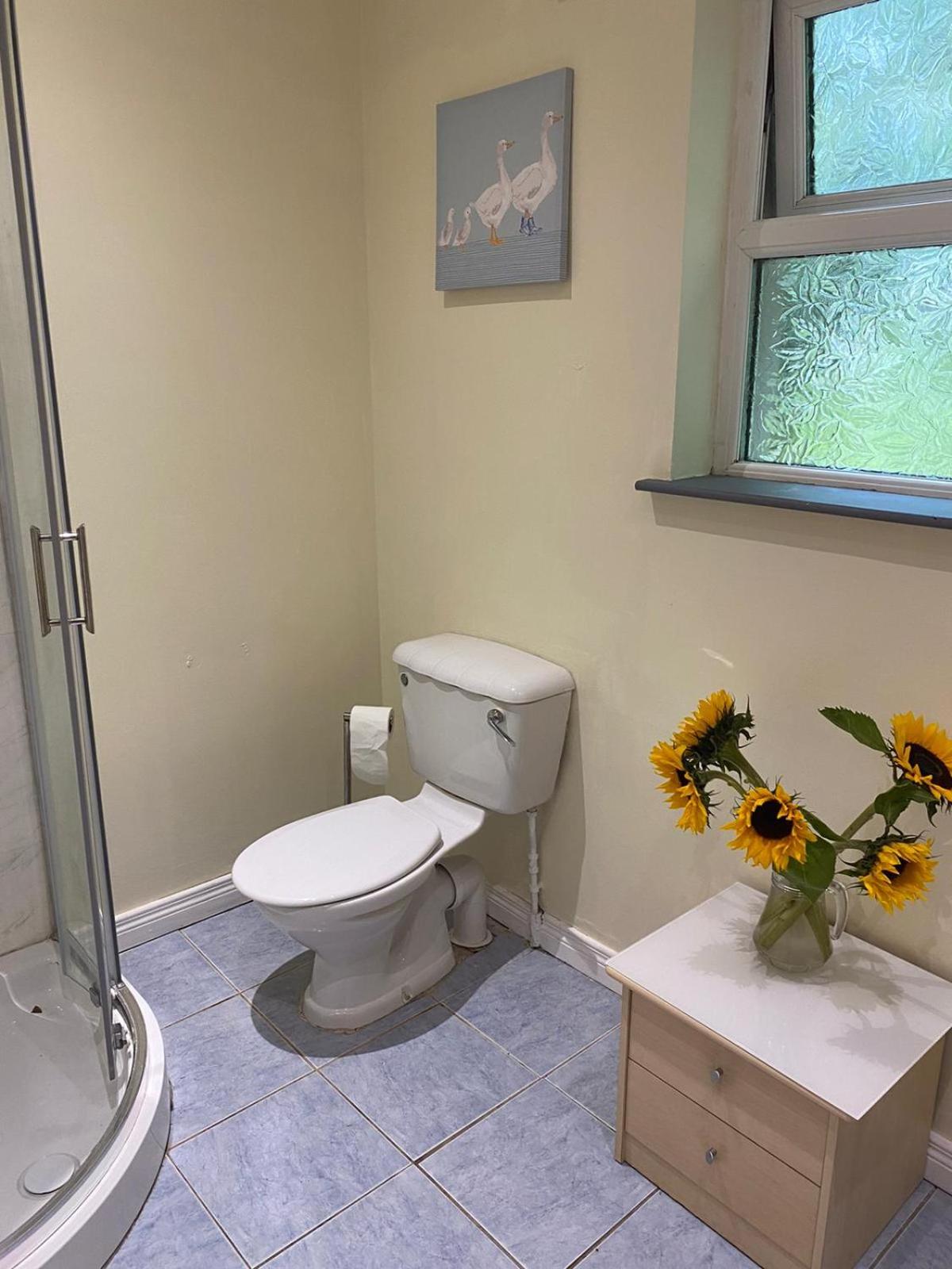 Orchard Lodge view 4