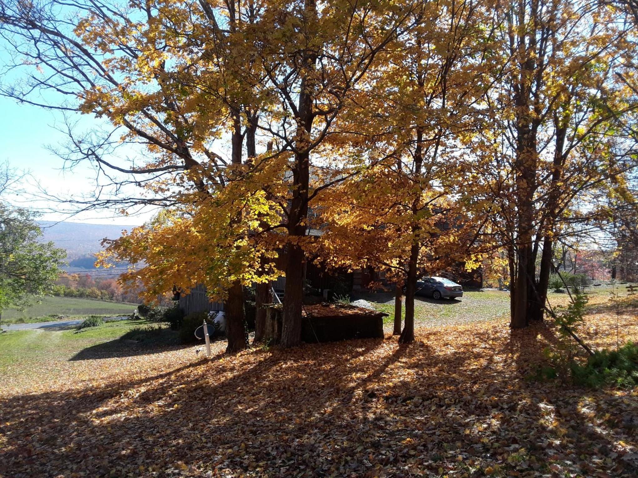 Photo 8