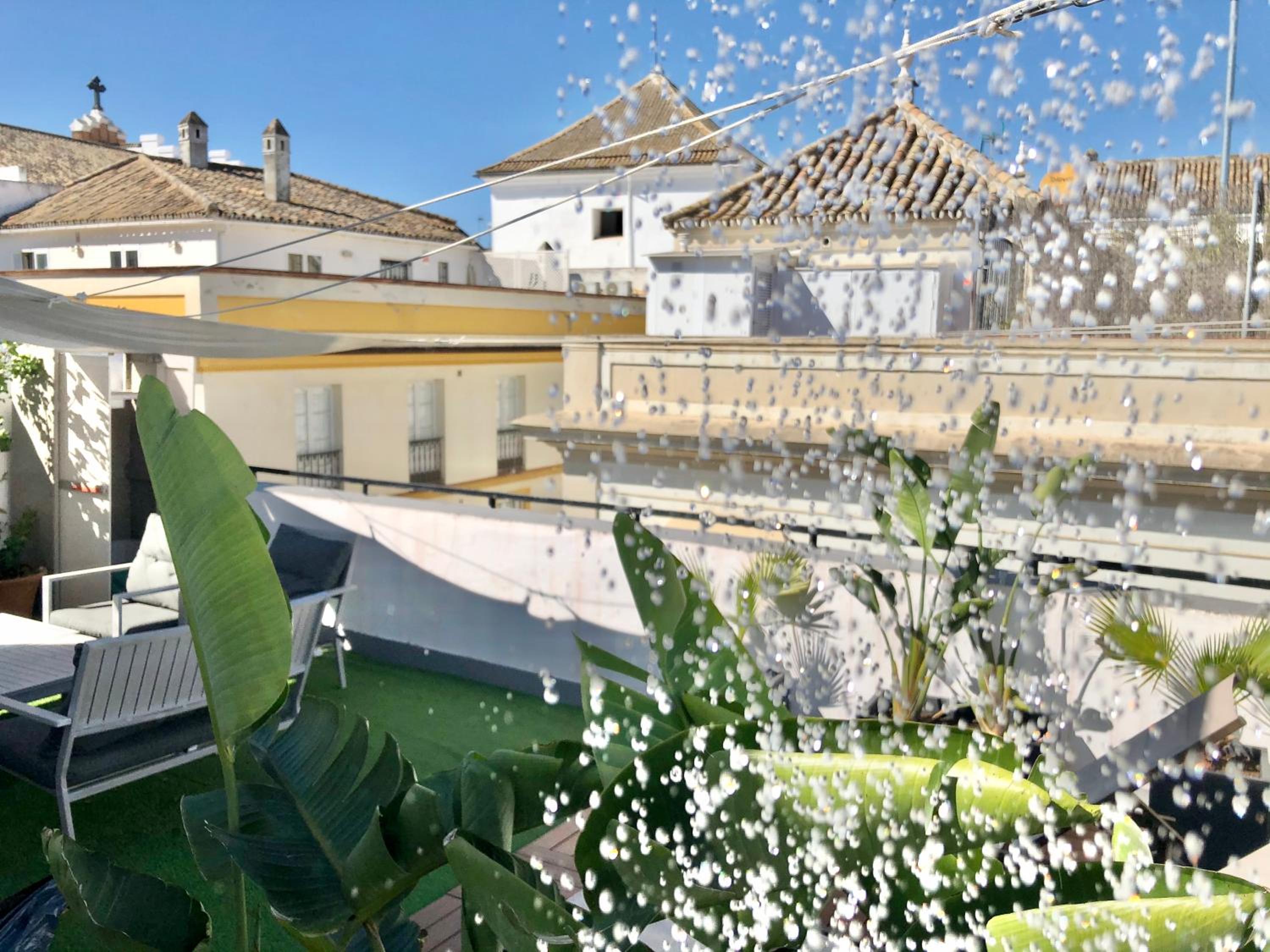 roof