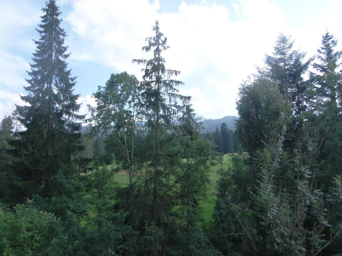 Photo 32