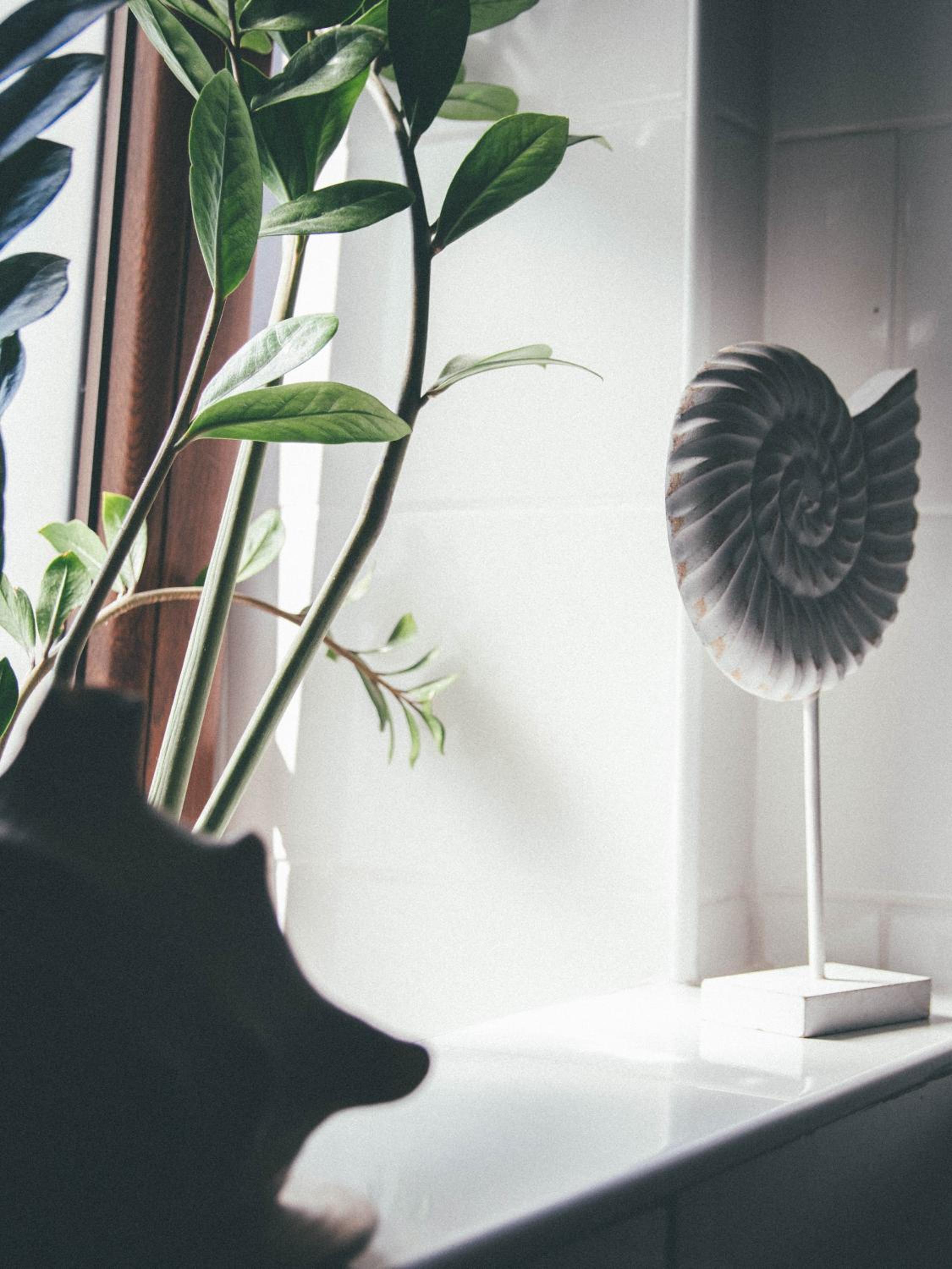 Willa Piwniczka Apartament Jahlowej, photo 10