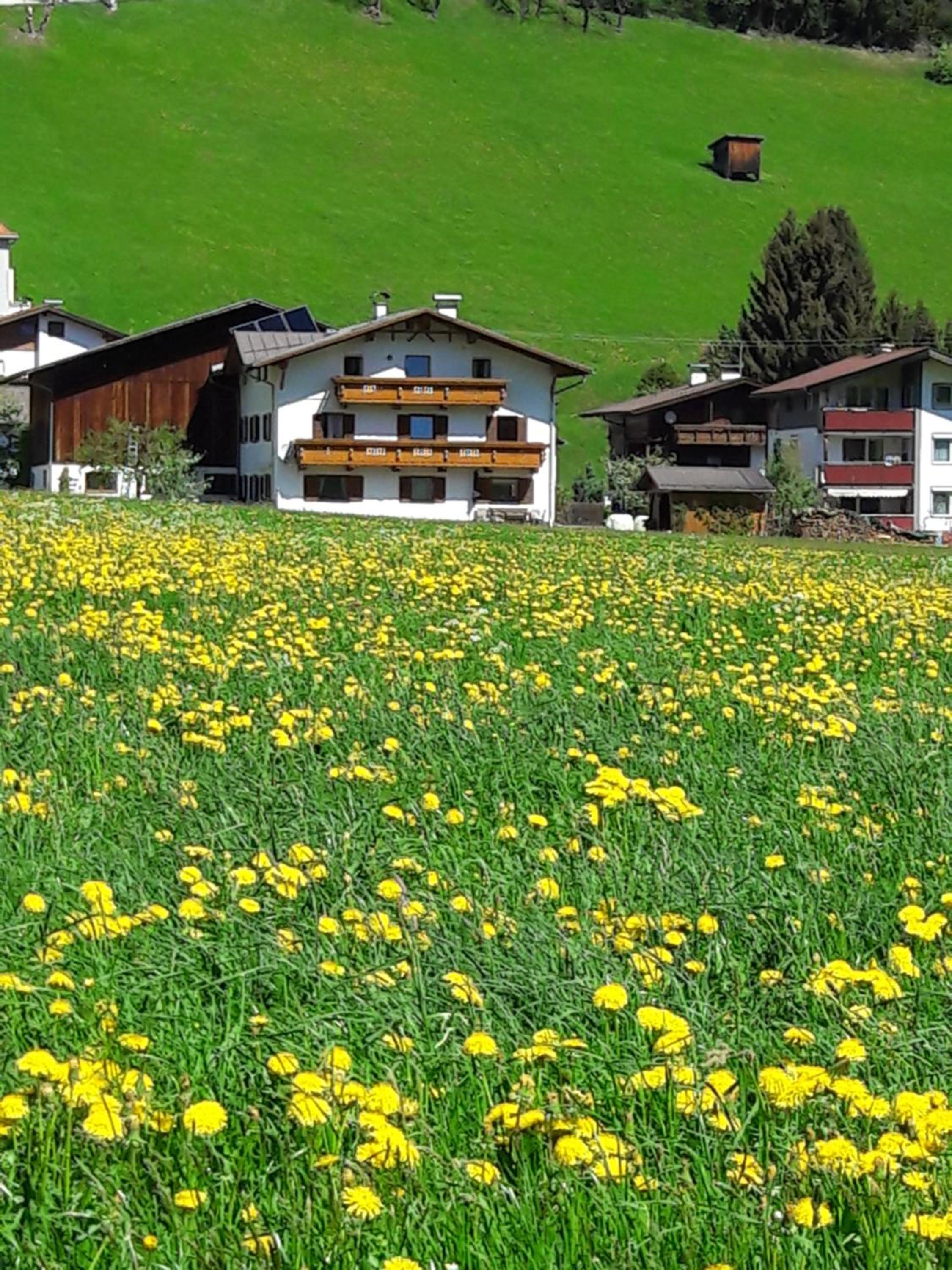 Lacknerhof view 5
