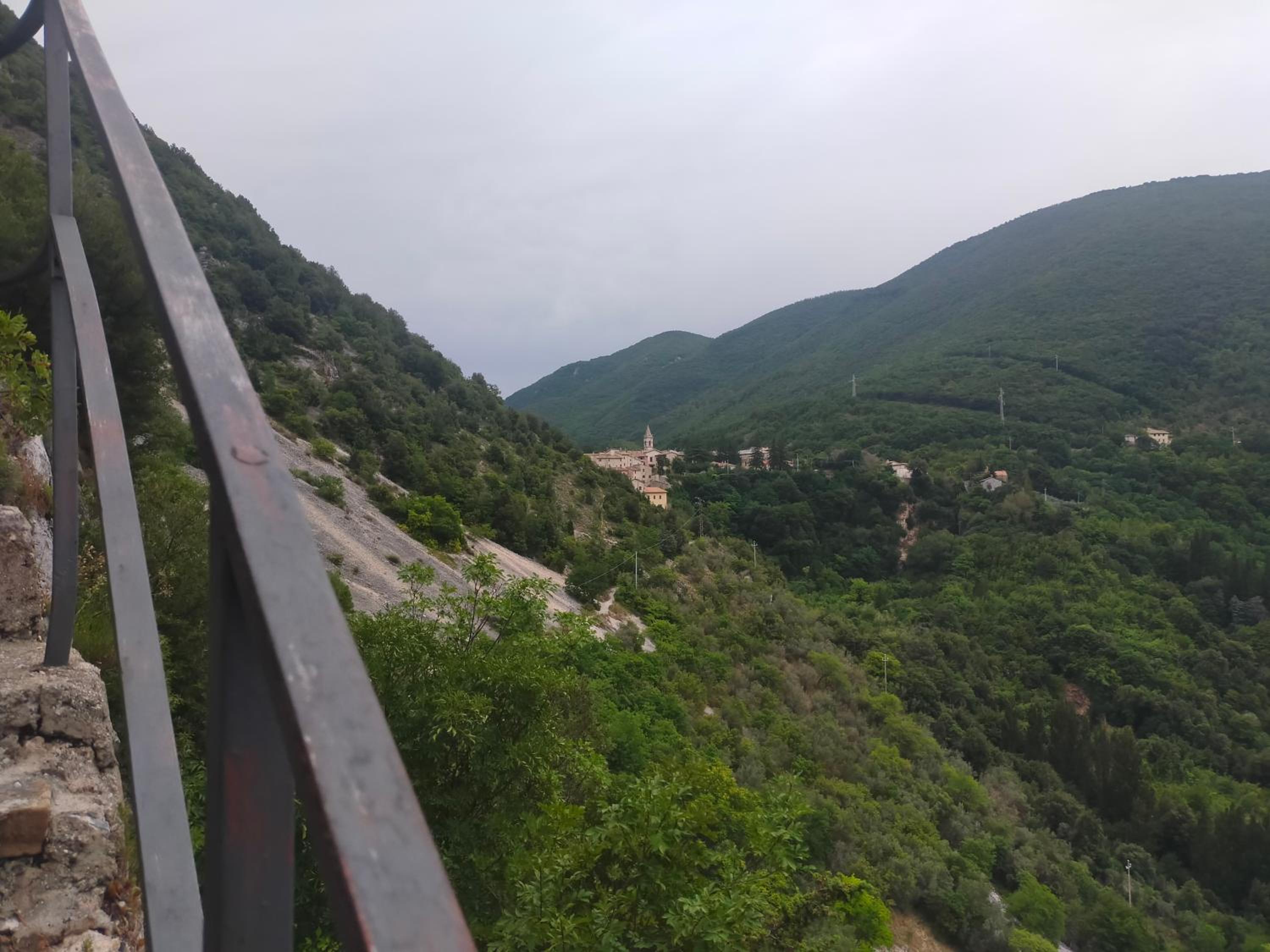 traivicolidifoligno view 4