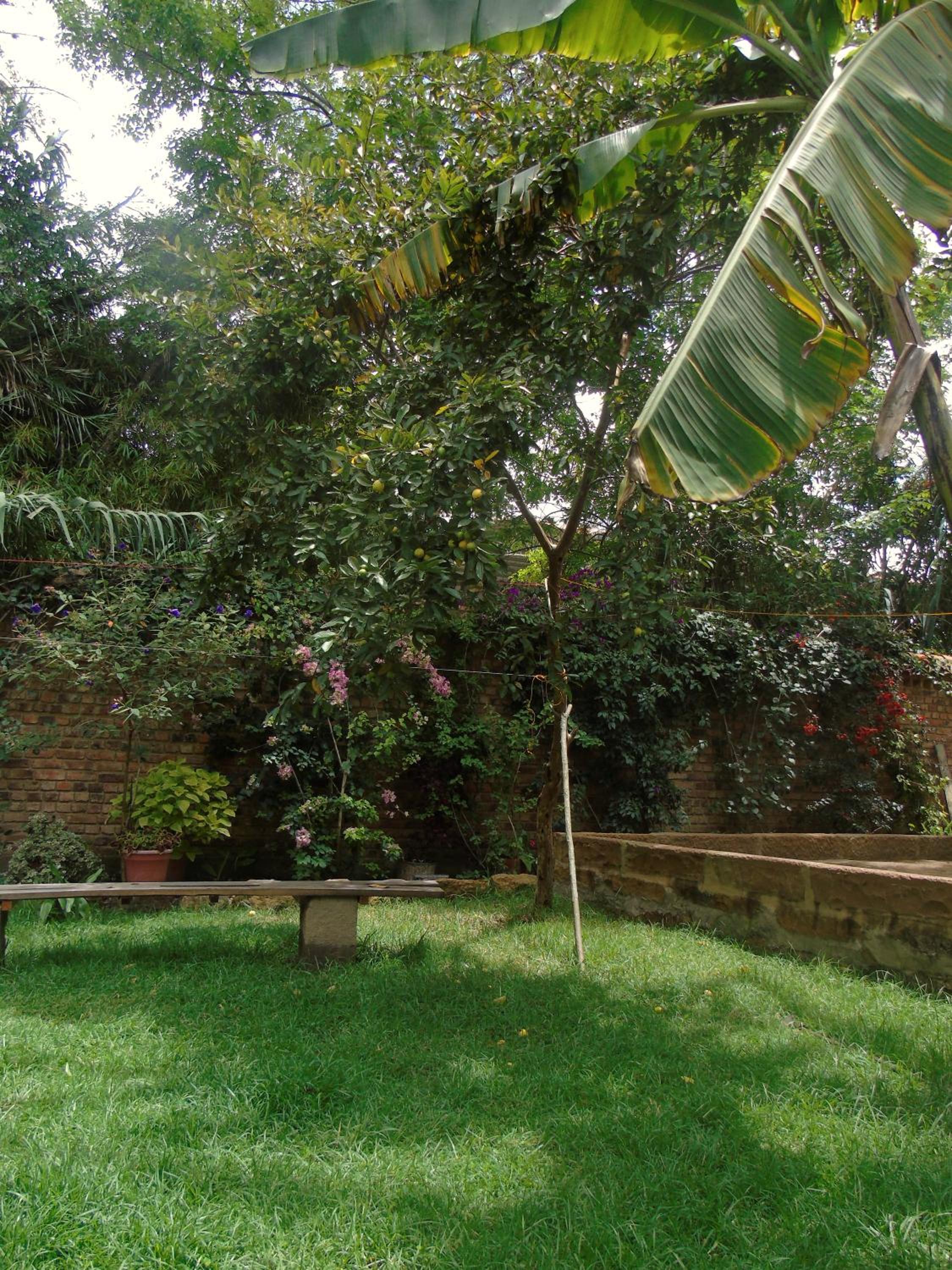 Photo 25