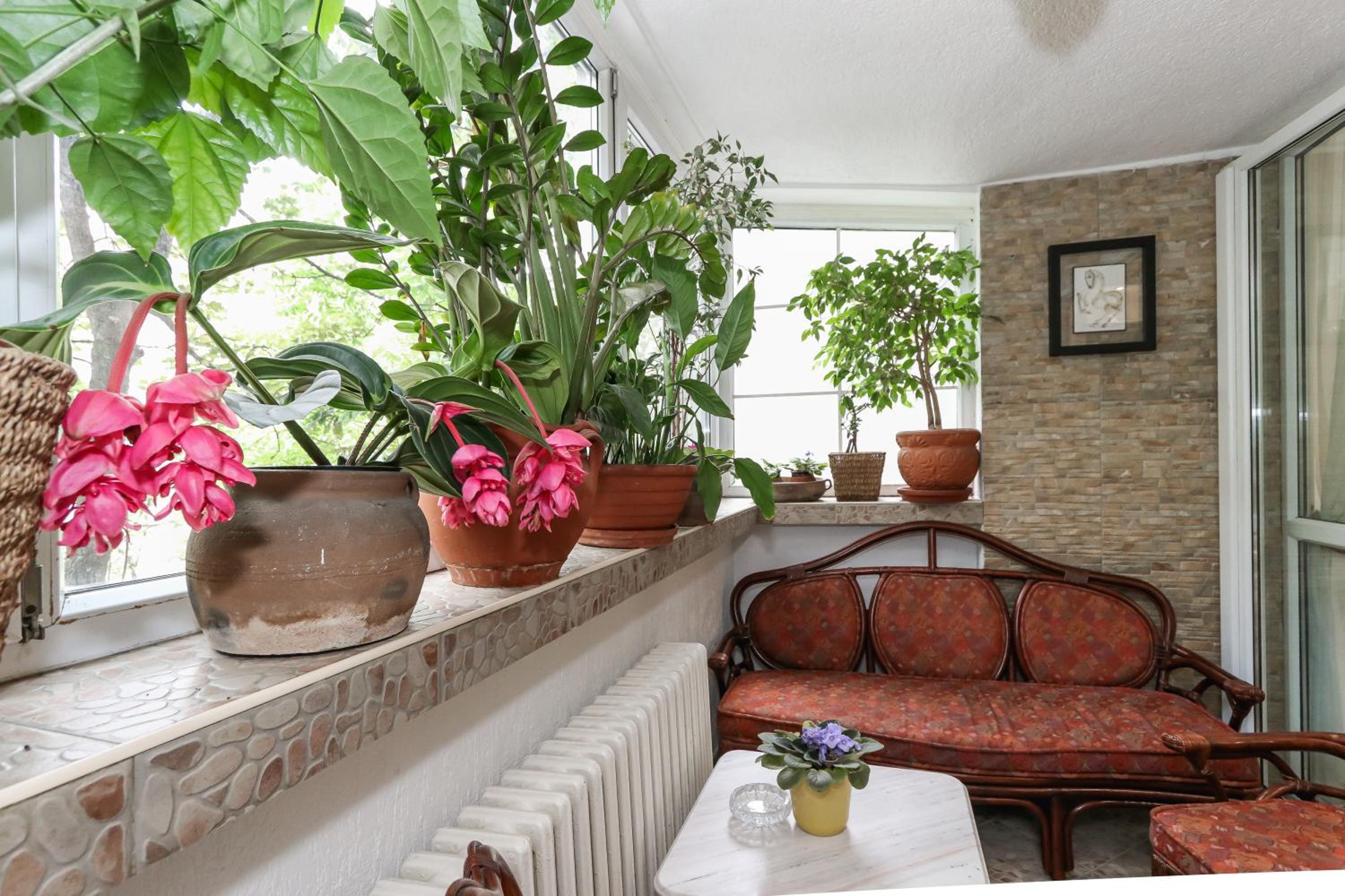 Snug, Homely Apartment by the Temple view 3