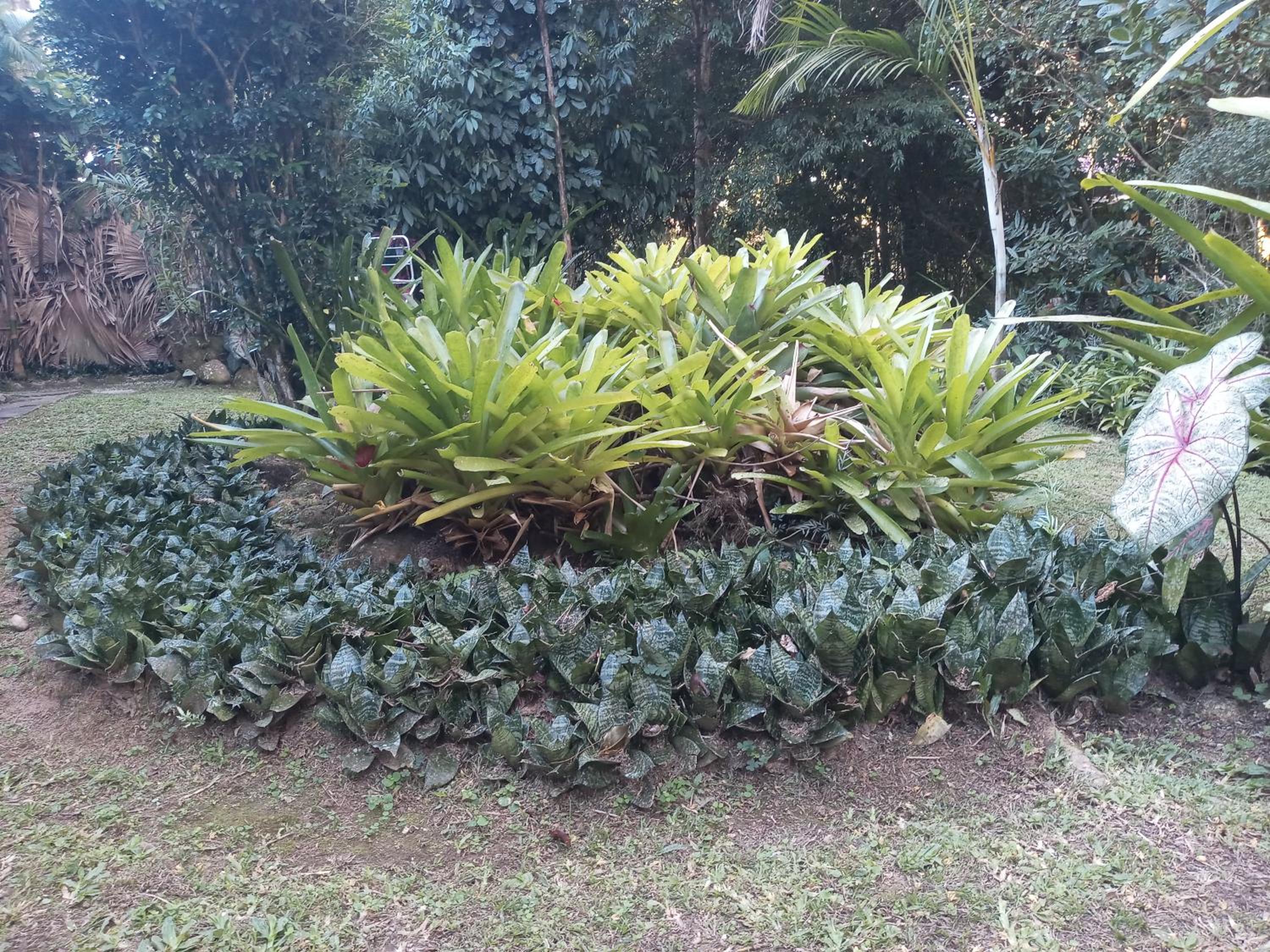 Photo 49