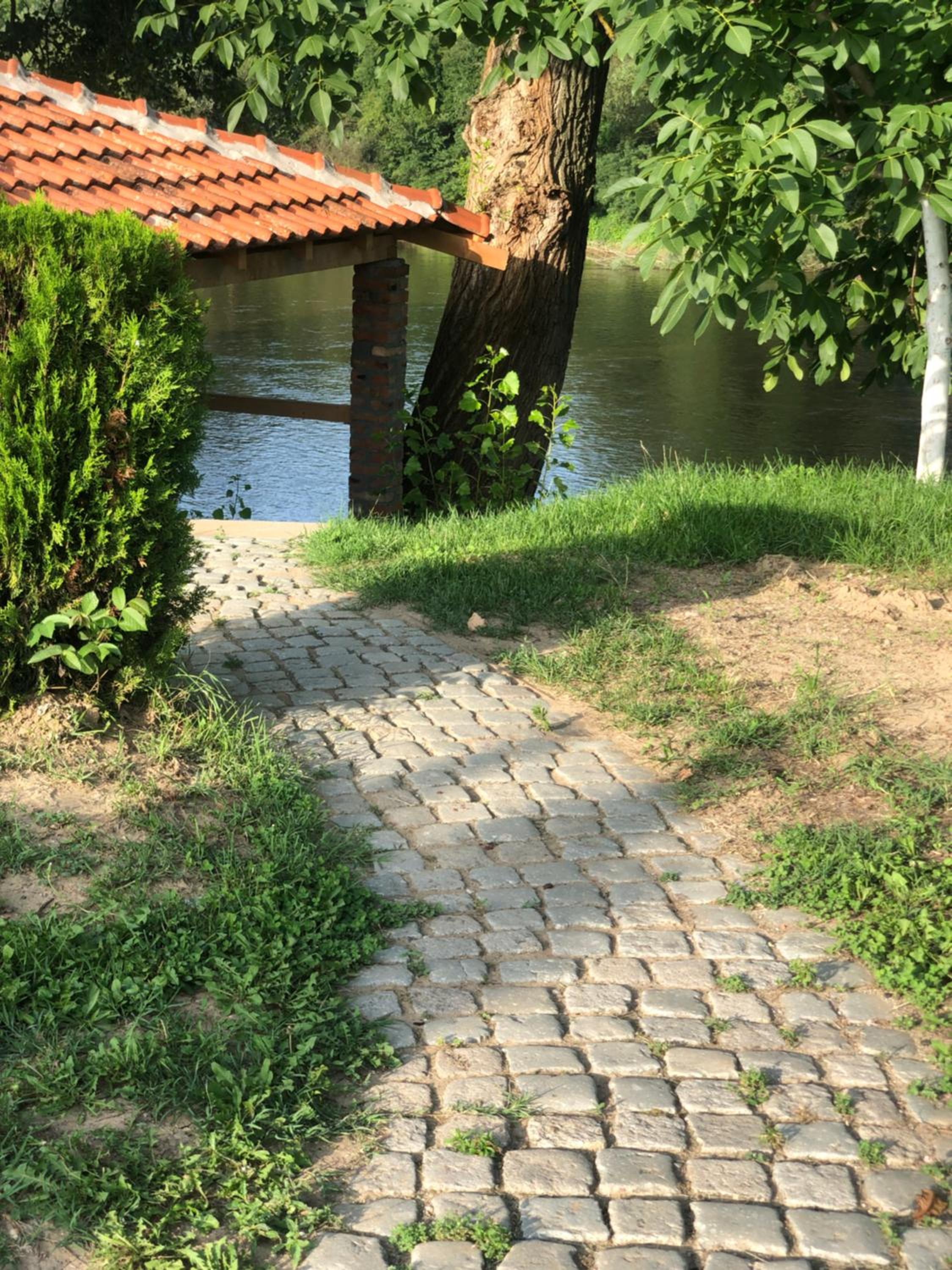 Photo 16