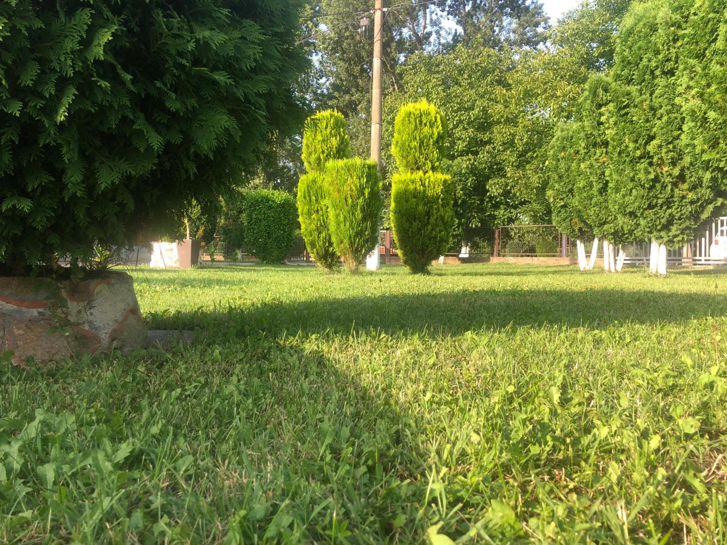 Photo 22
