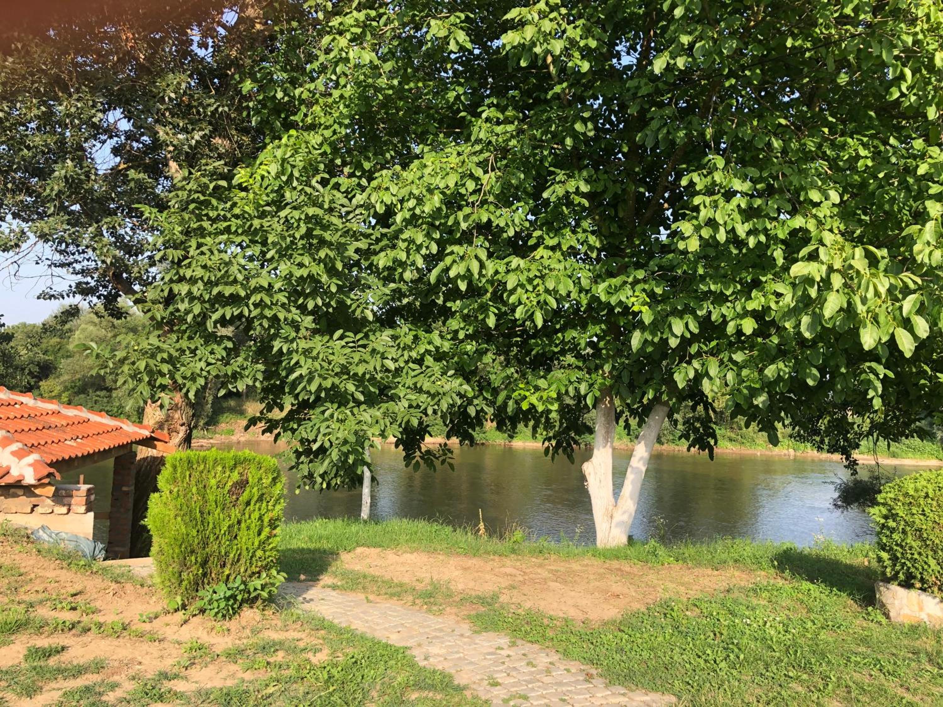 Photo 35