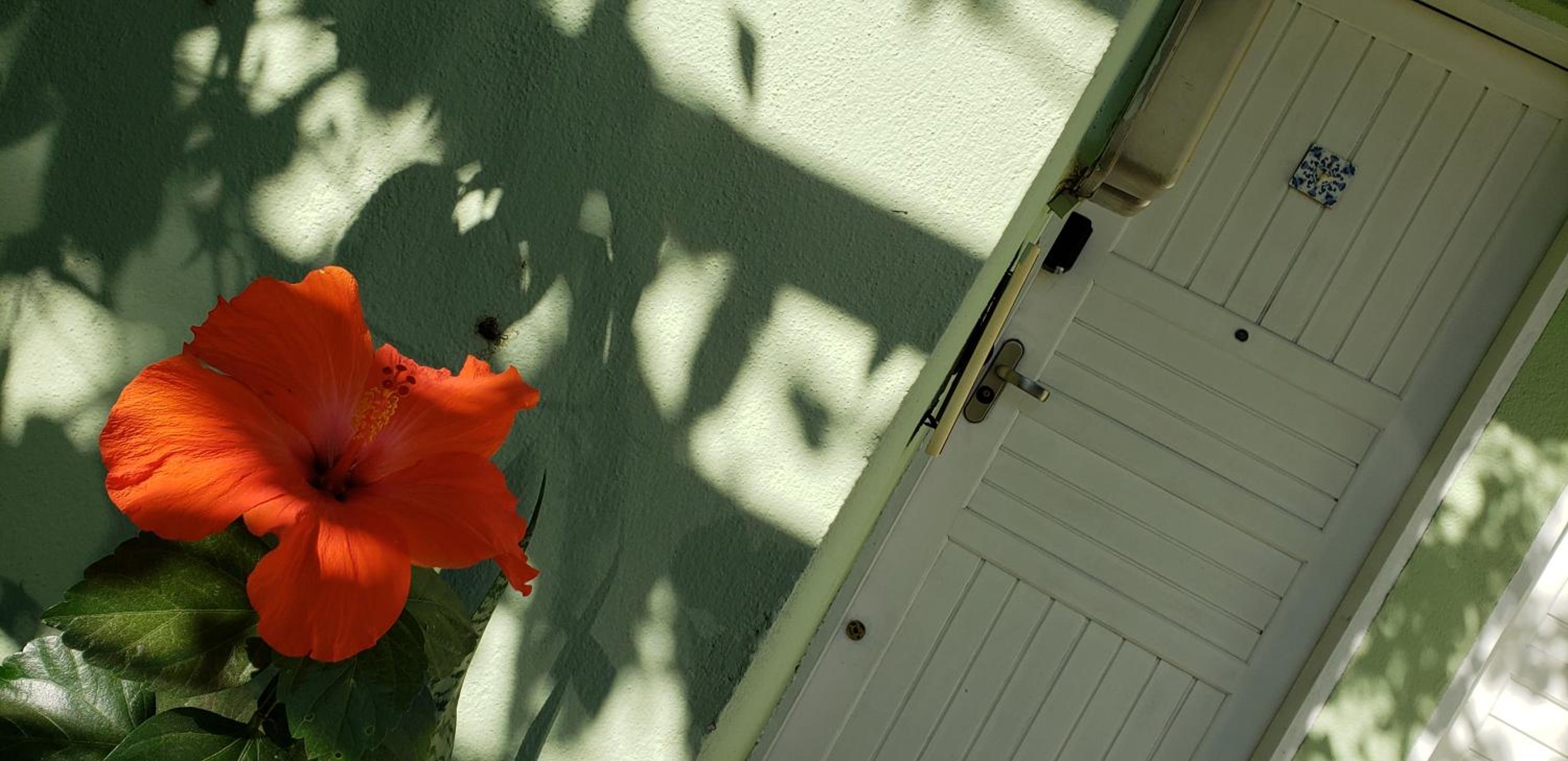 Casa Confortável