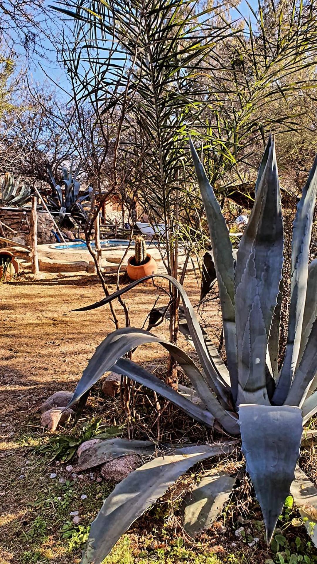 Cabañas de Montaña Rio Amarillo