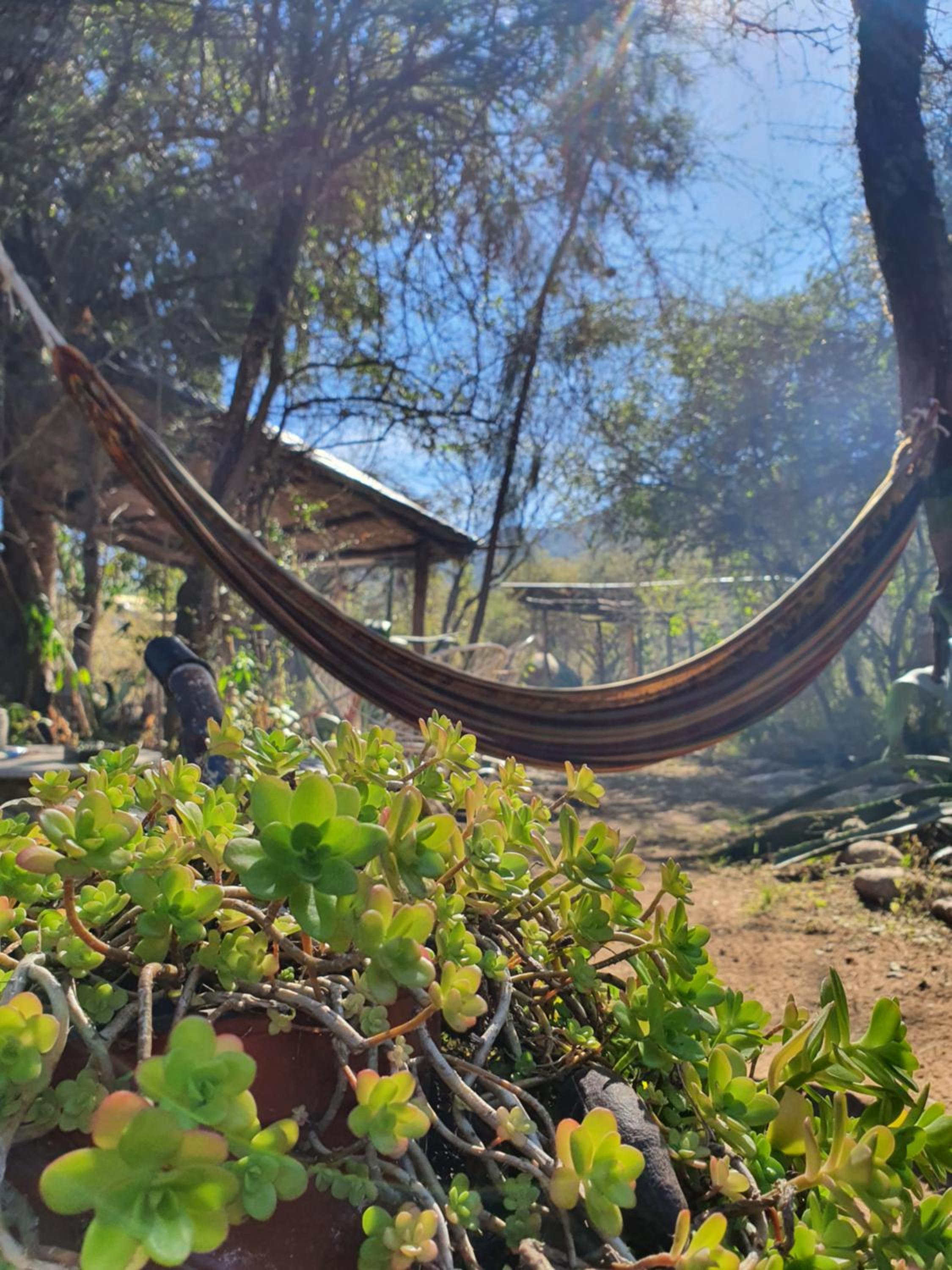 Cabañas de Montaña Rio Amarillo