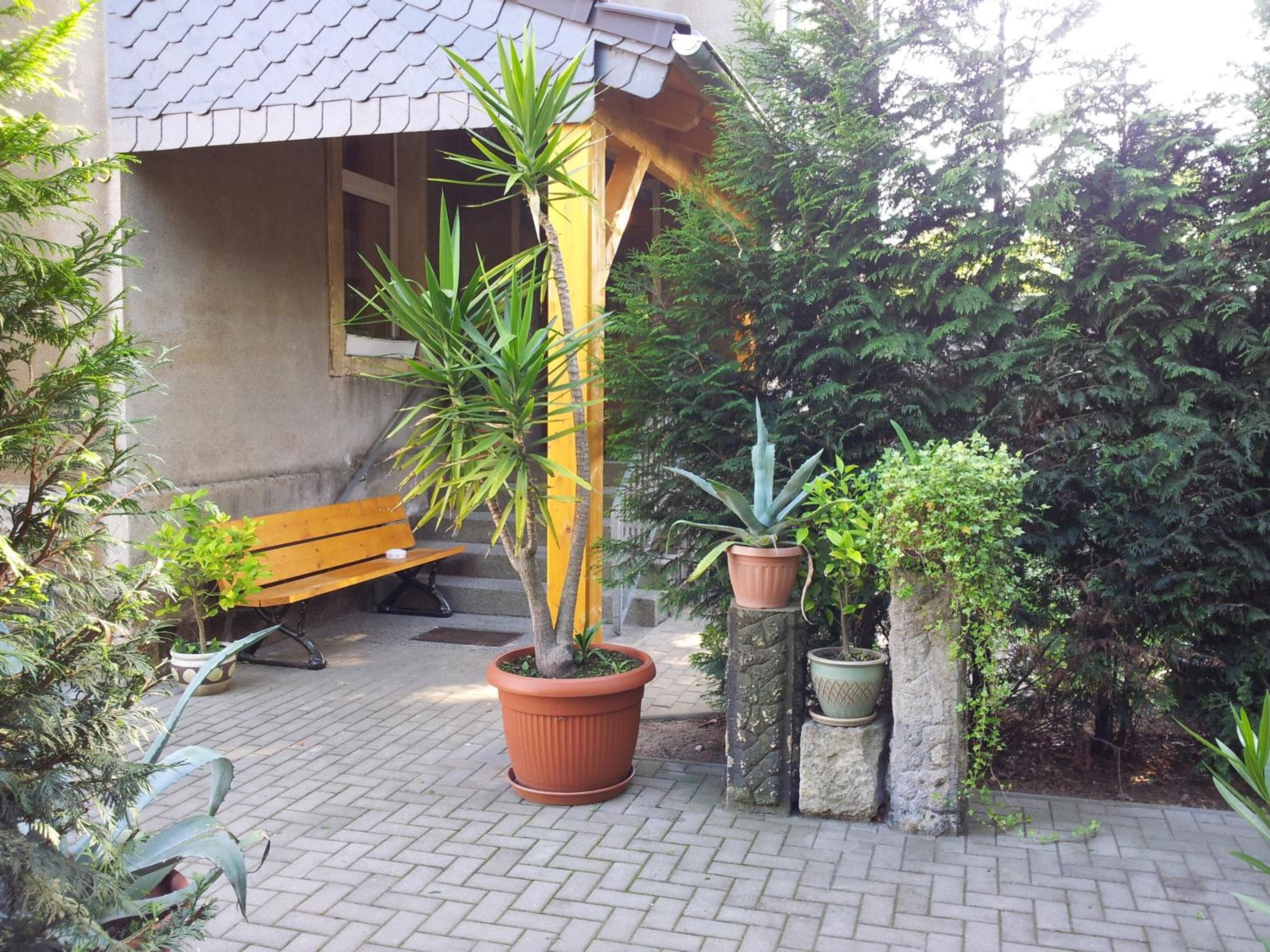 Photo 33