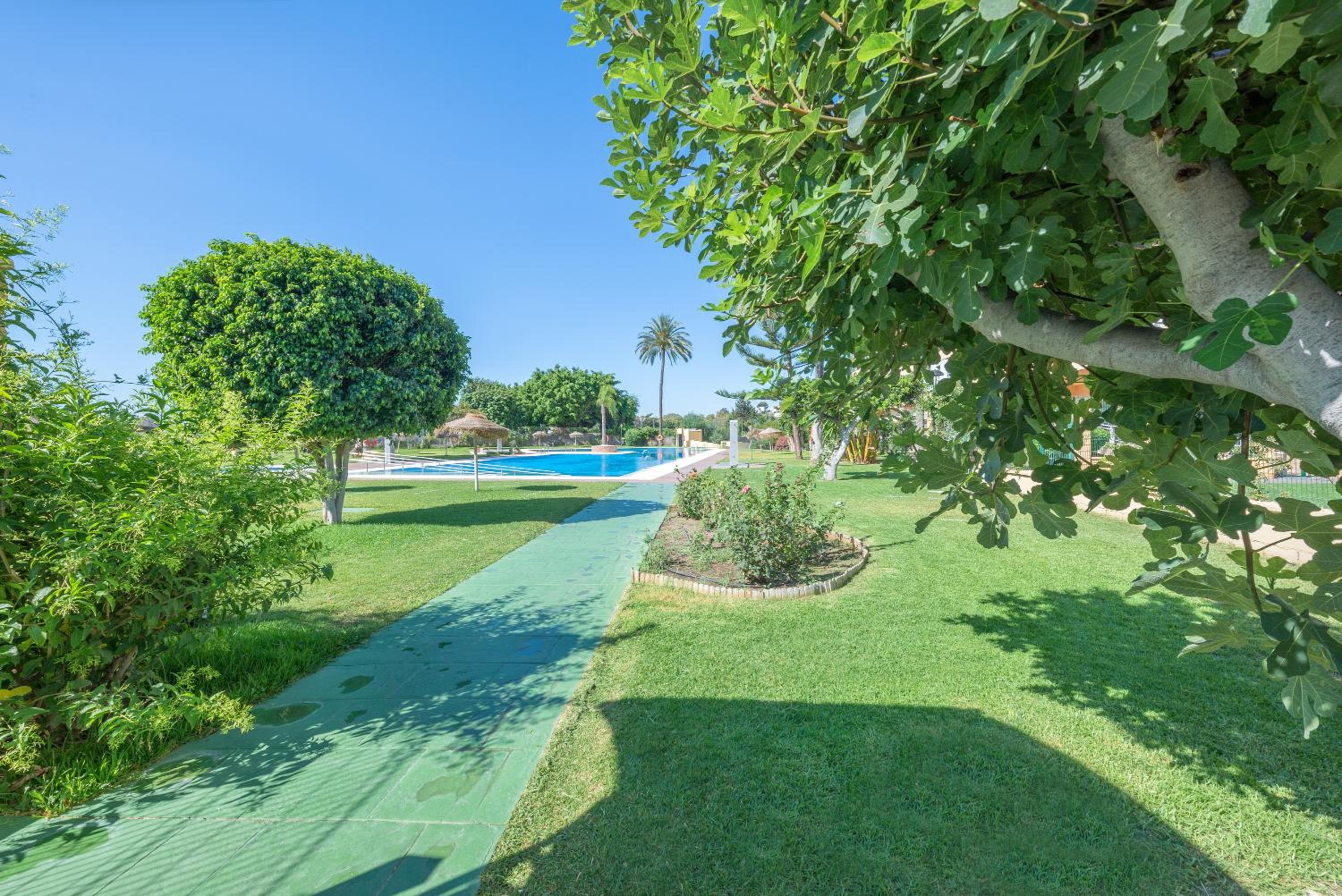 Apartment - Studio La Torre view 5