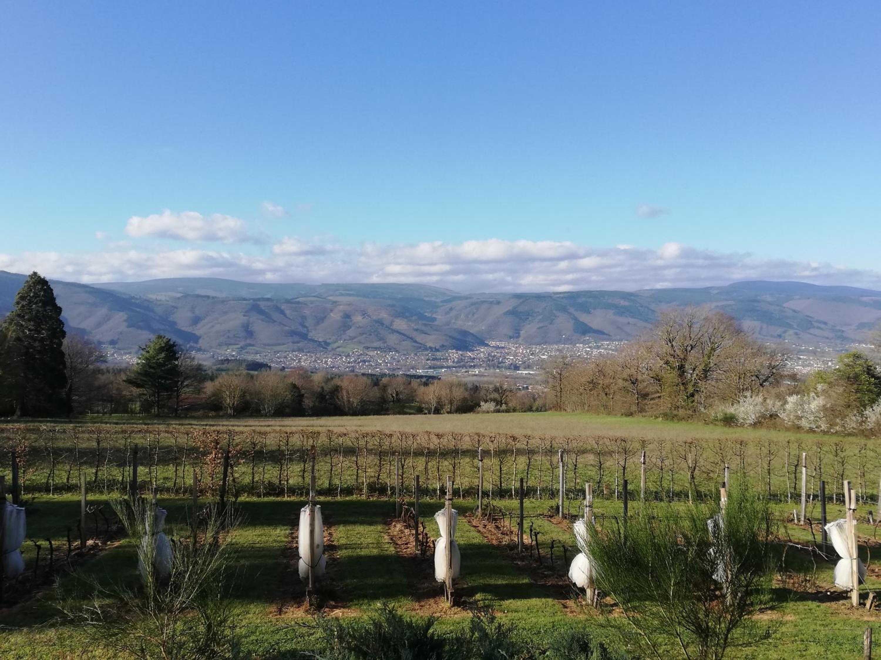 Chambres d'Hotes Baudelys - Property Image 27