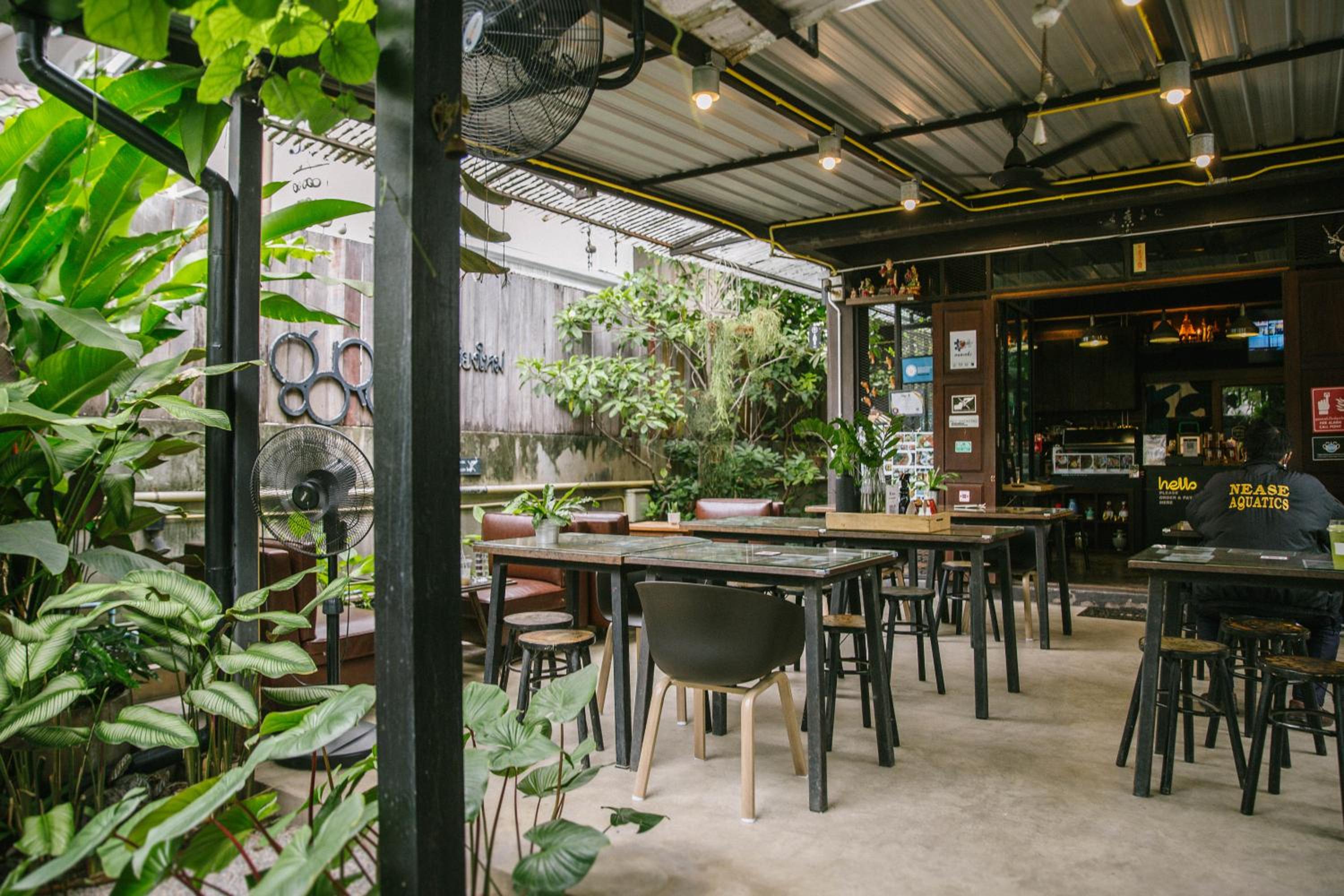 Gord ChiangMai Hotel