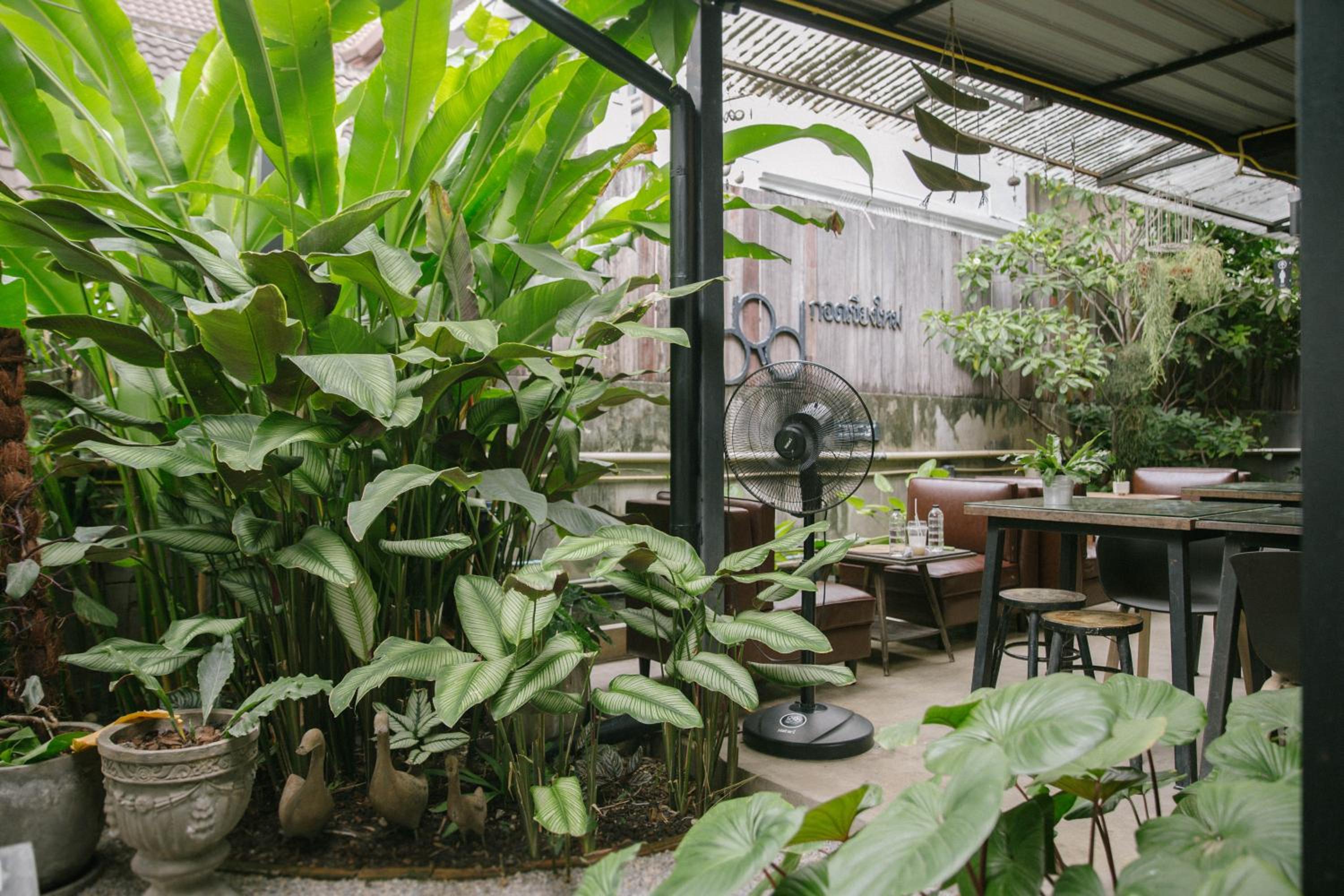 Gord ChiangMai Hotel