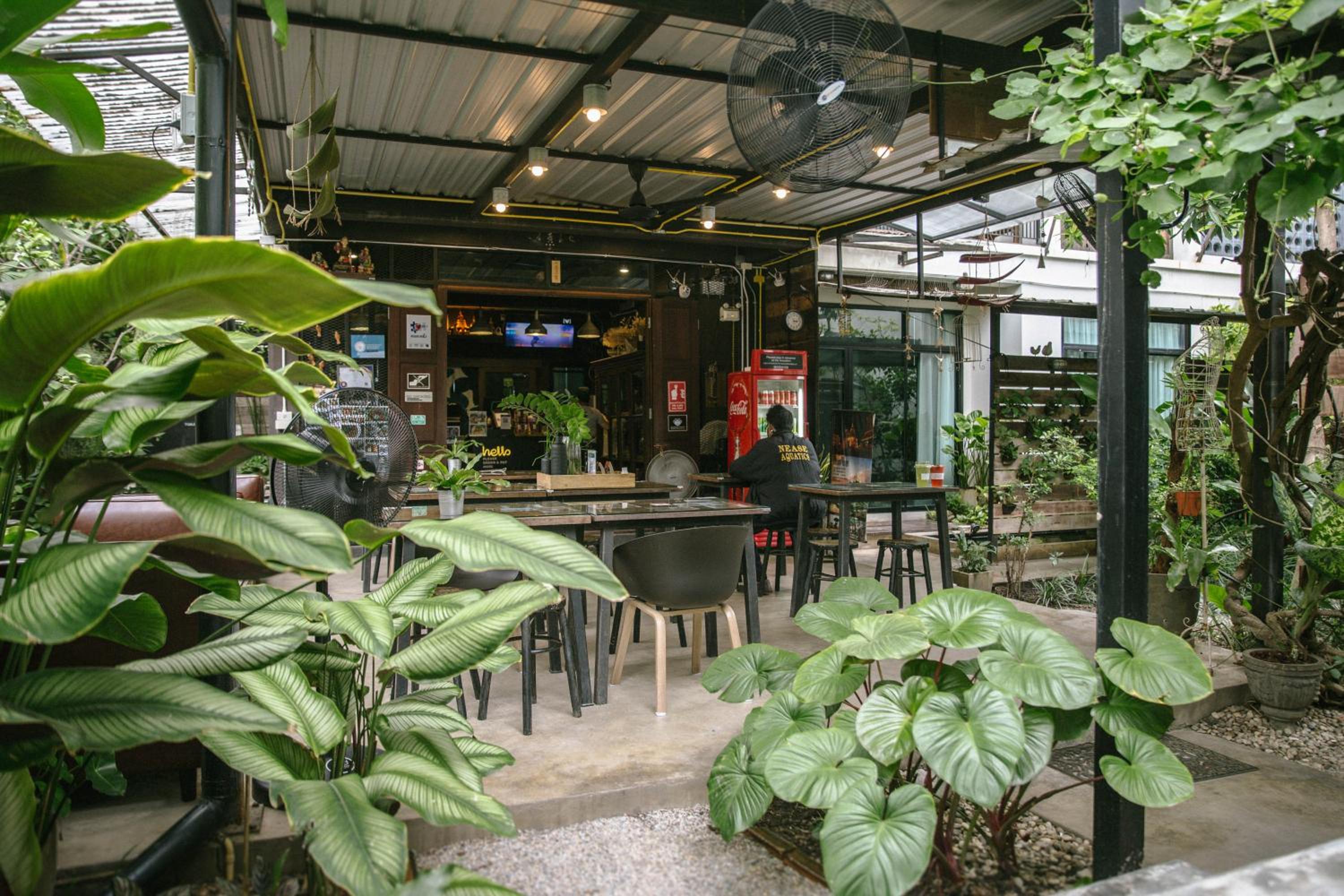 Gord ChiangMai Hotel