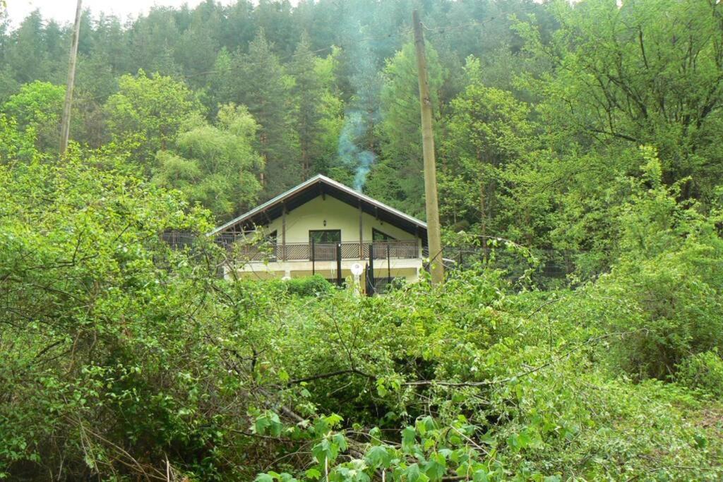 Nordic Villa Chiflika
