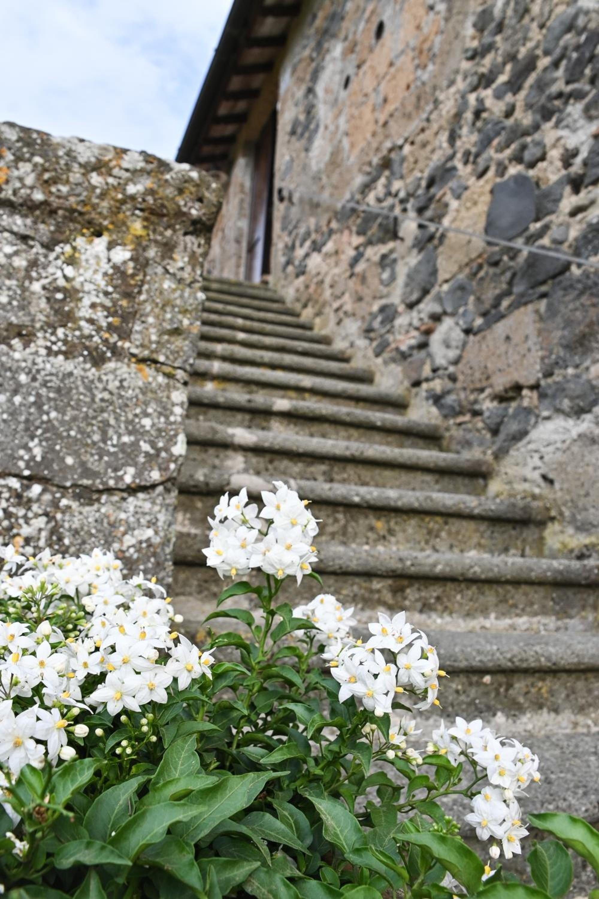 Casa Lattuada photo 4