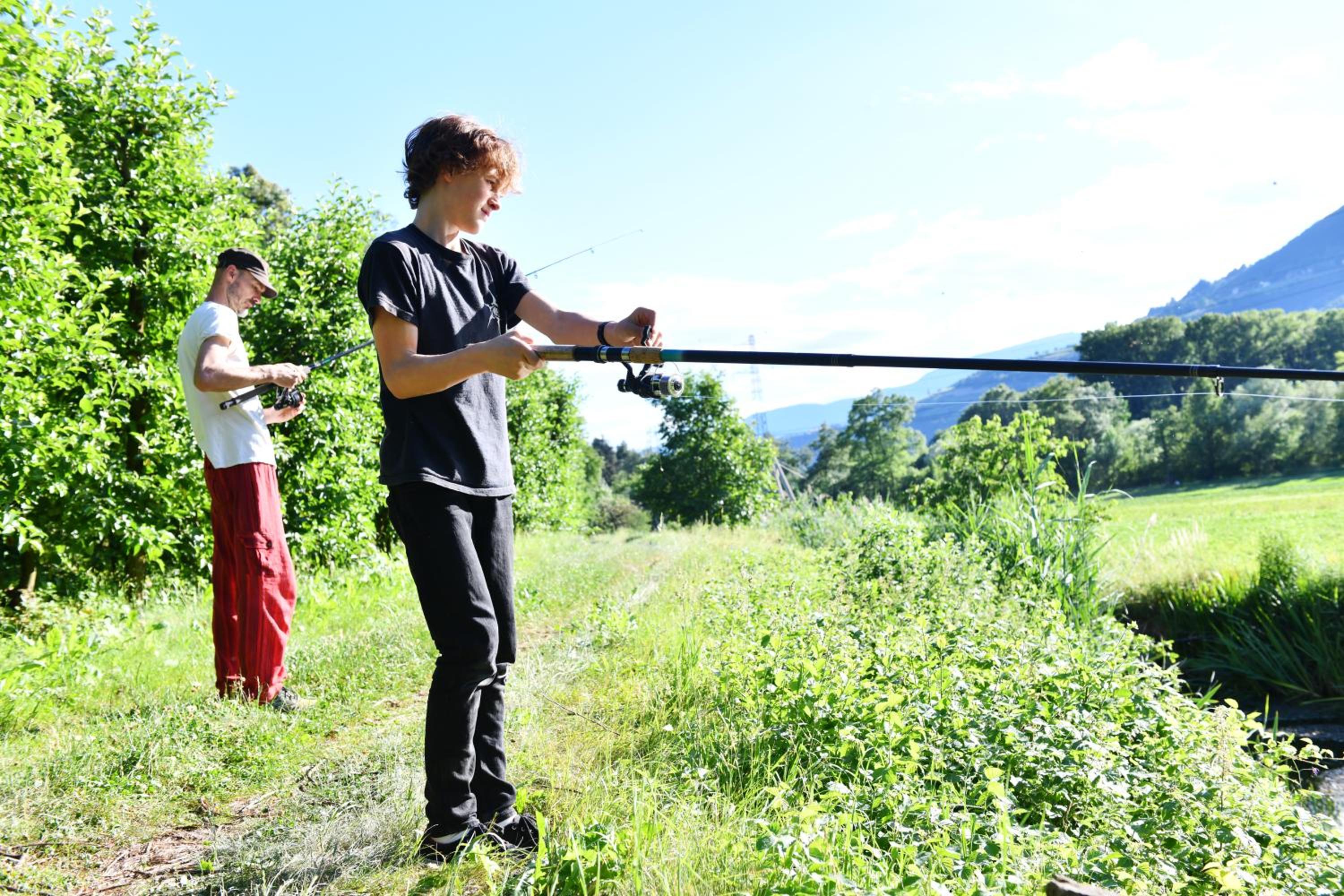 Photo 8