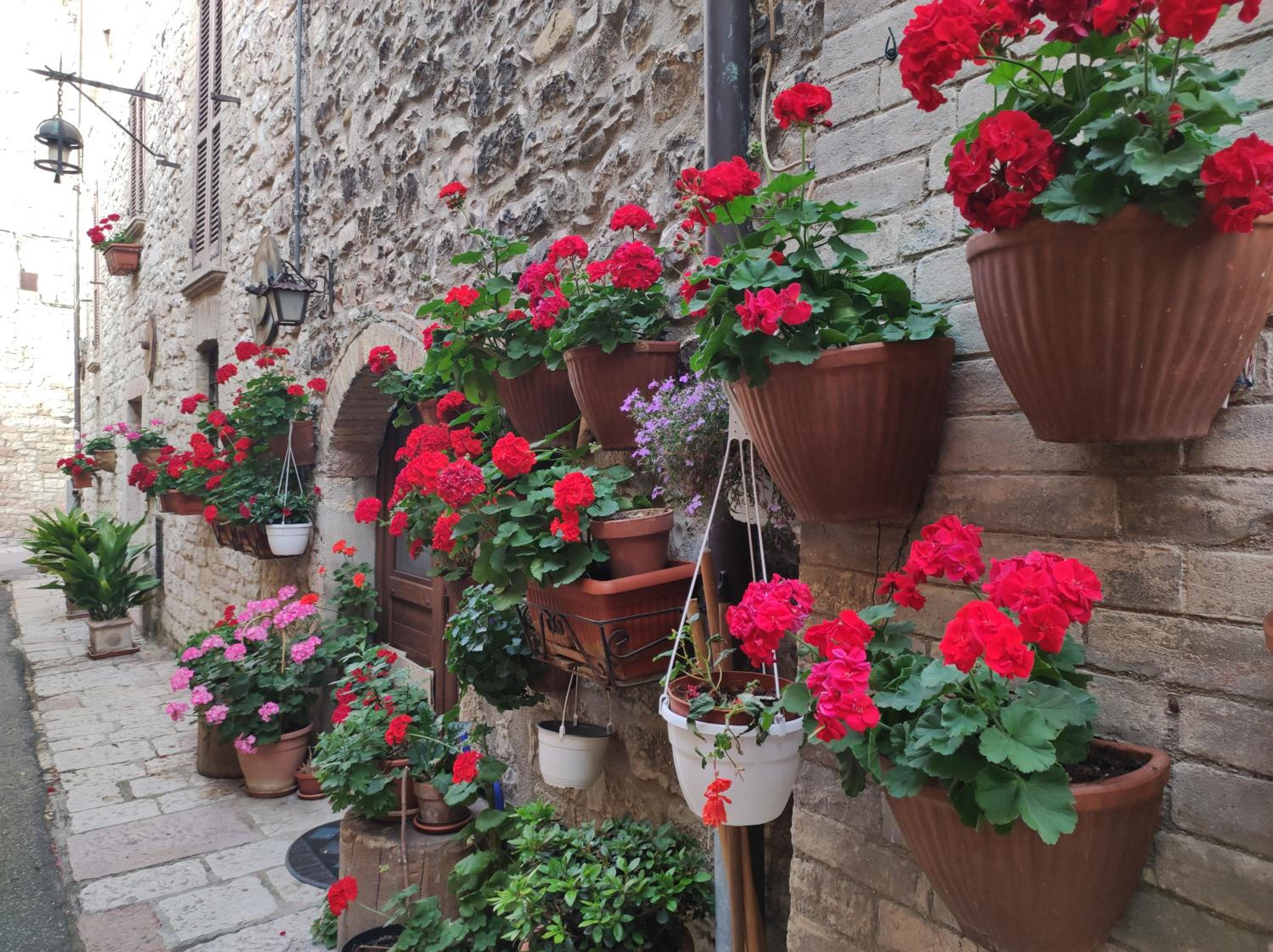 Appartamento Antica Assisi photo 3
