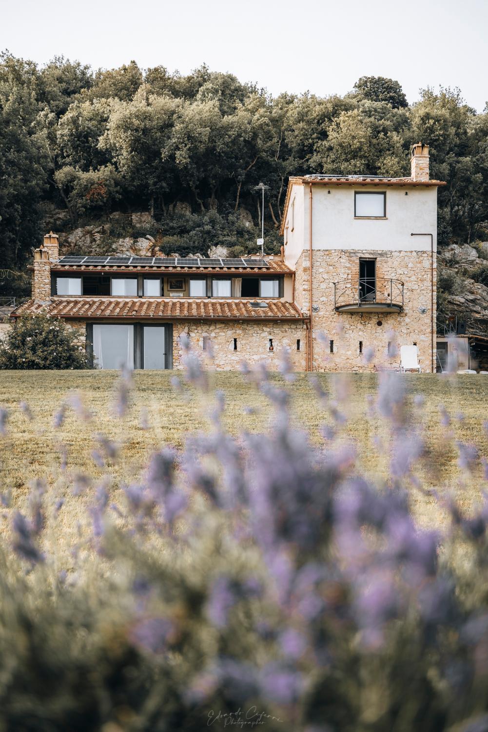 La casa del tartufo view 2