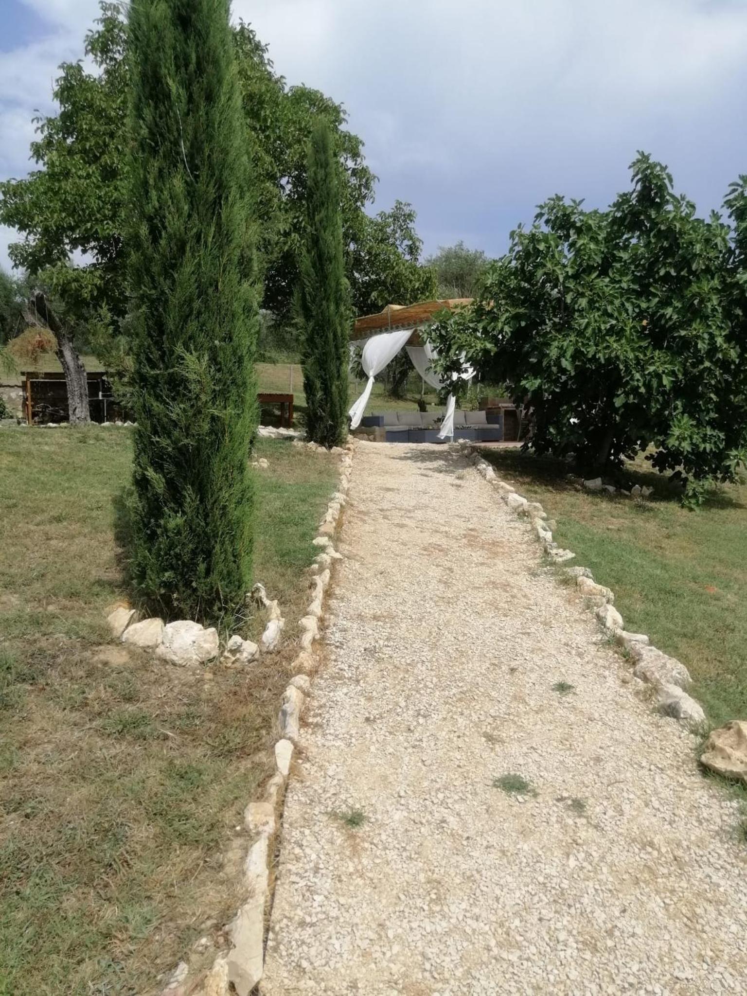 Photo 44