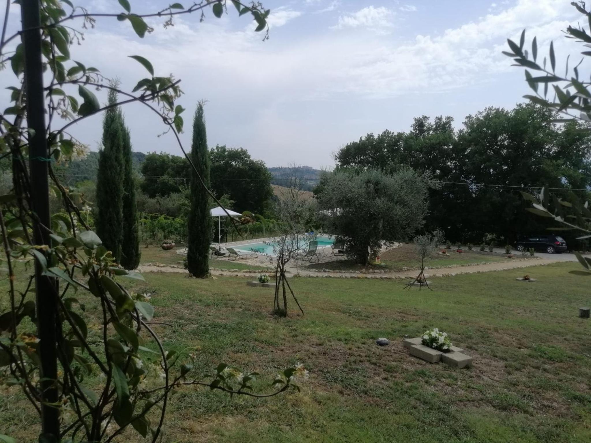 Photo 45