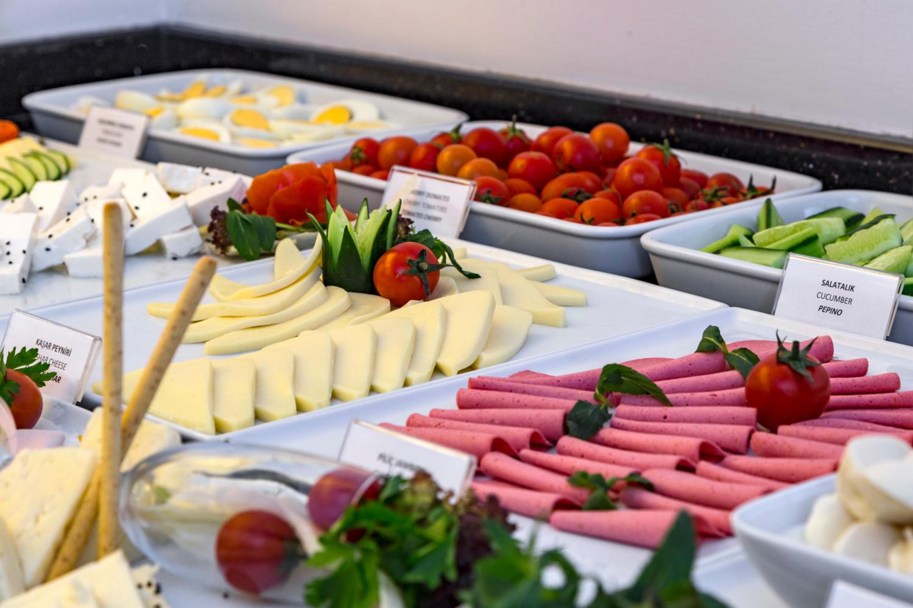 Blanca Otel - Image 65