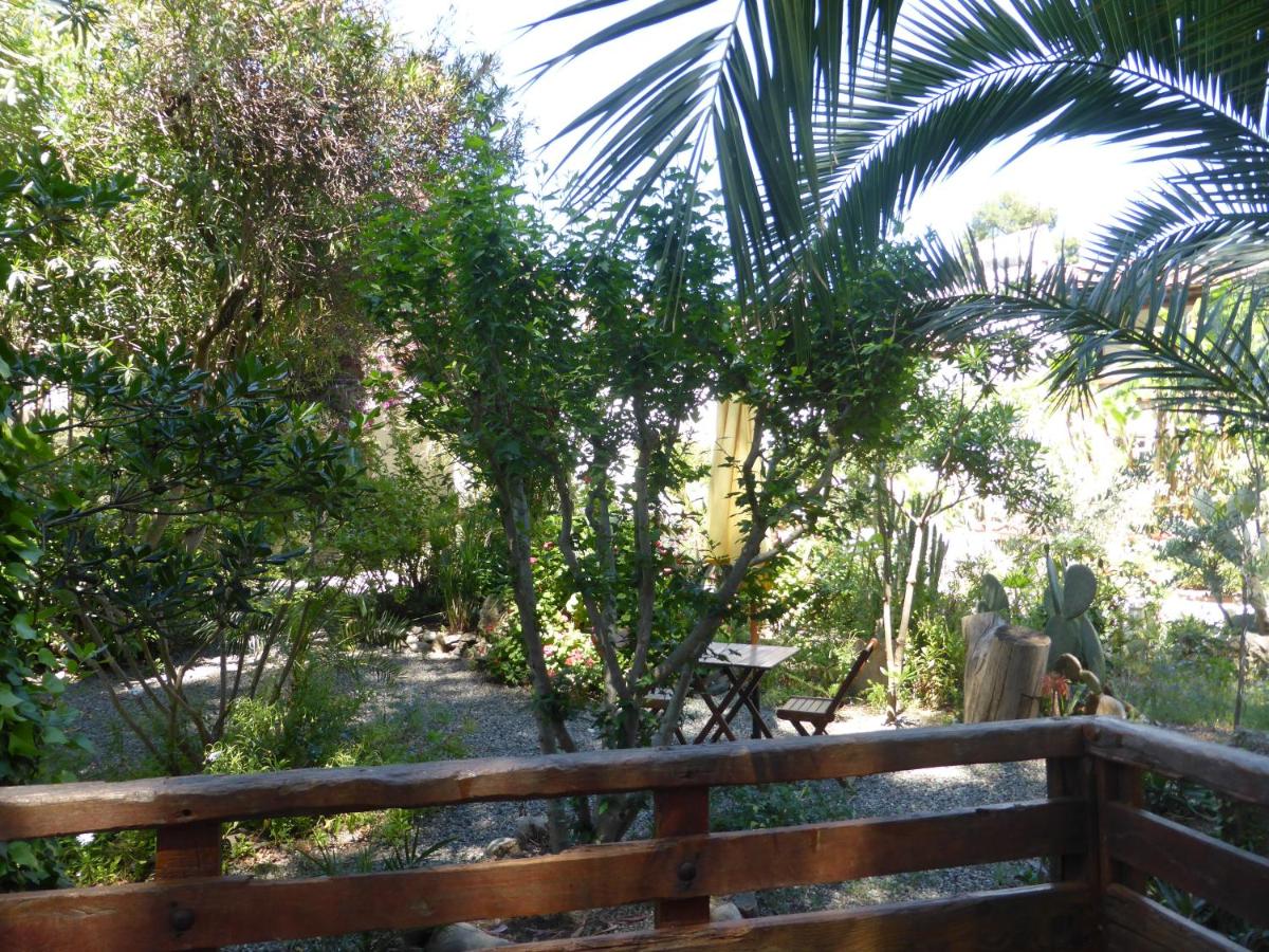 Photo 26